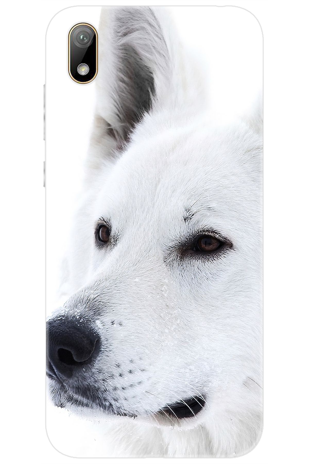 Ceppare Huawei Y5 2019 (AMN-LX2/LX9) Uyumlu Kılıf Desen Baskılı Silikon Beyaz Kurt STK:169 CP-DPMeFT0
