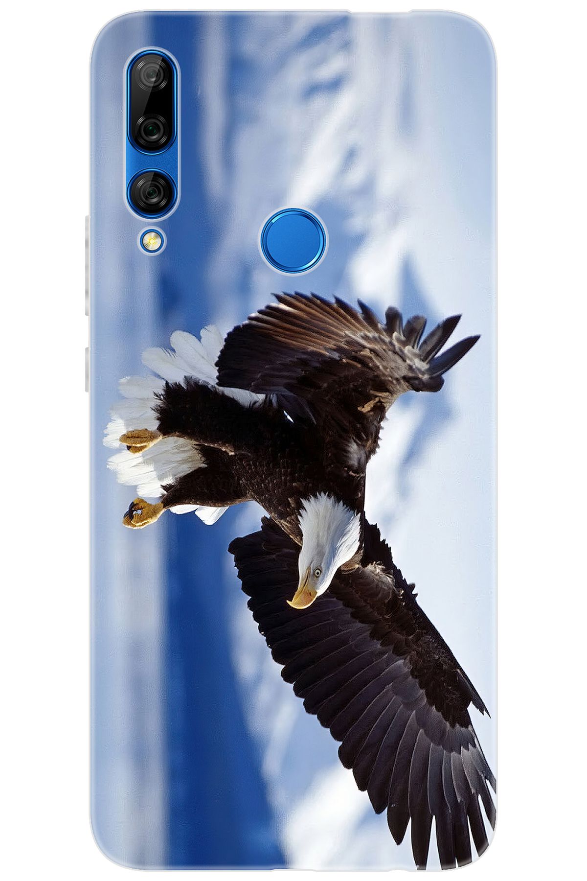 Ceppare Huawei Y9 Prime 2019 (STK-L21) Uyumlu Kılıf Desen Baskı Silikon Kartal STK:183 CP-P3jEQrK