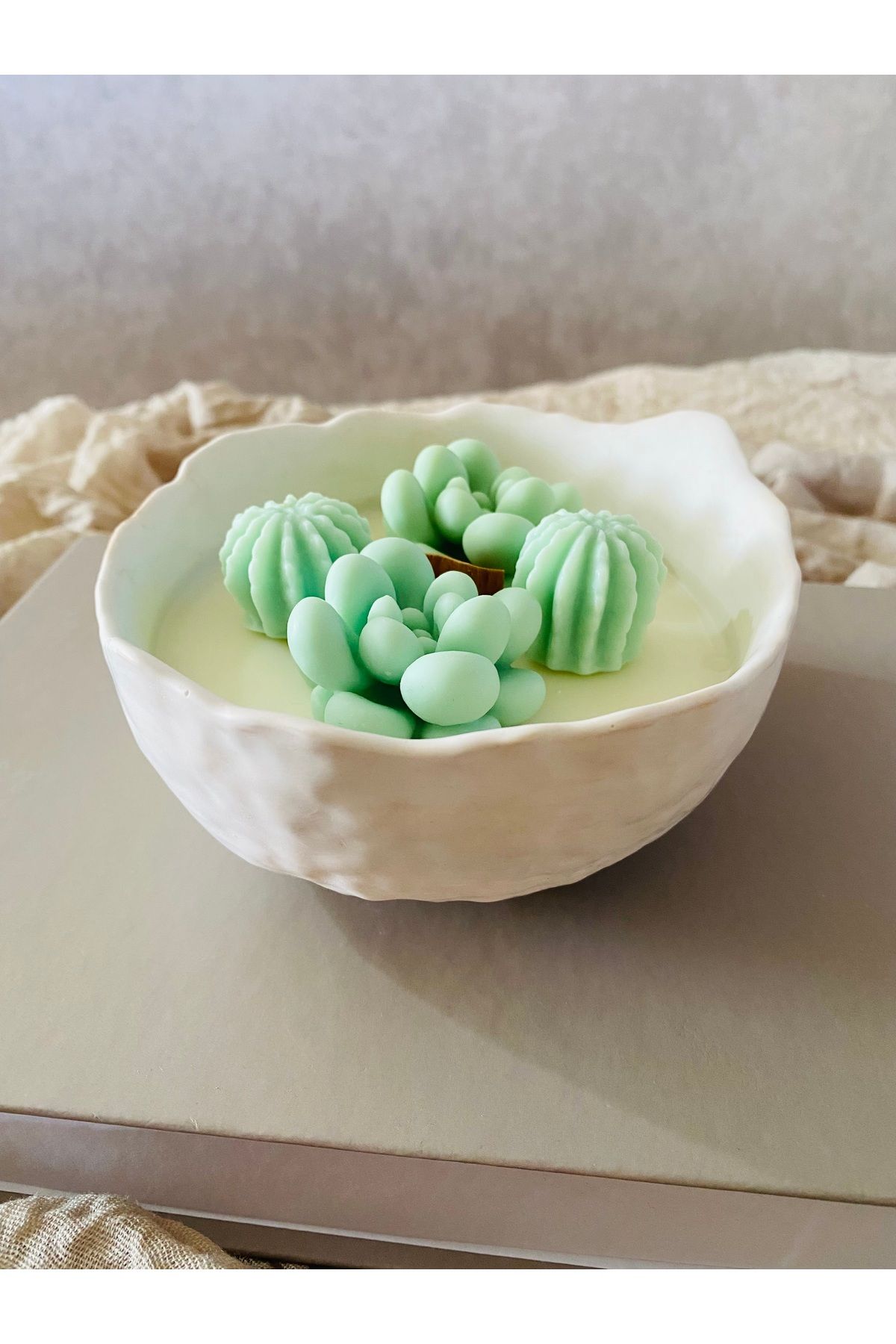 Duha Candle Gift Design Dokulu Dekoratif Kasede Sukulent Bahçesi Mum