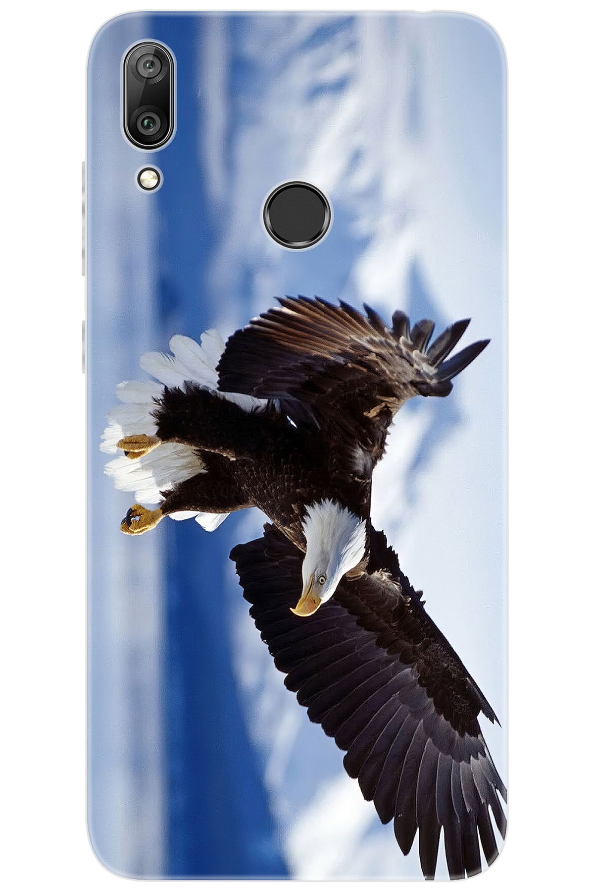 Ceppare Huawei Y7 Prime 2019 (DUB-LX3) Uyumlu Kılıf Desen Baskı Silikon Kartal STK:183 CP-ULKPh8G