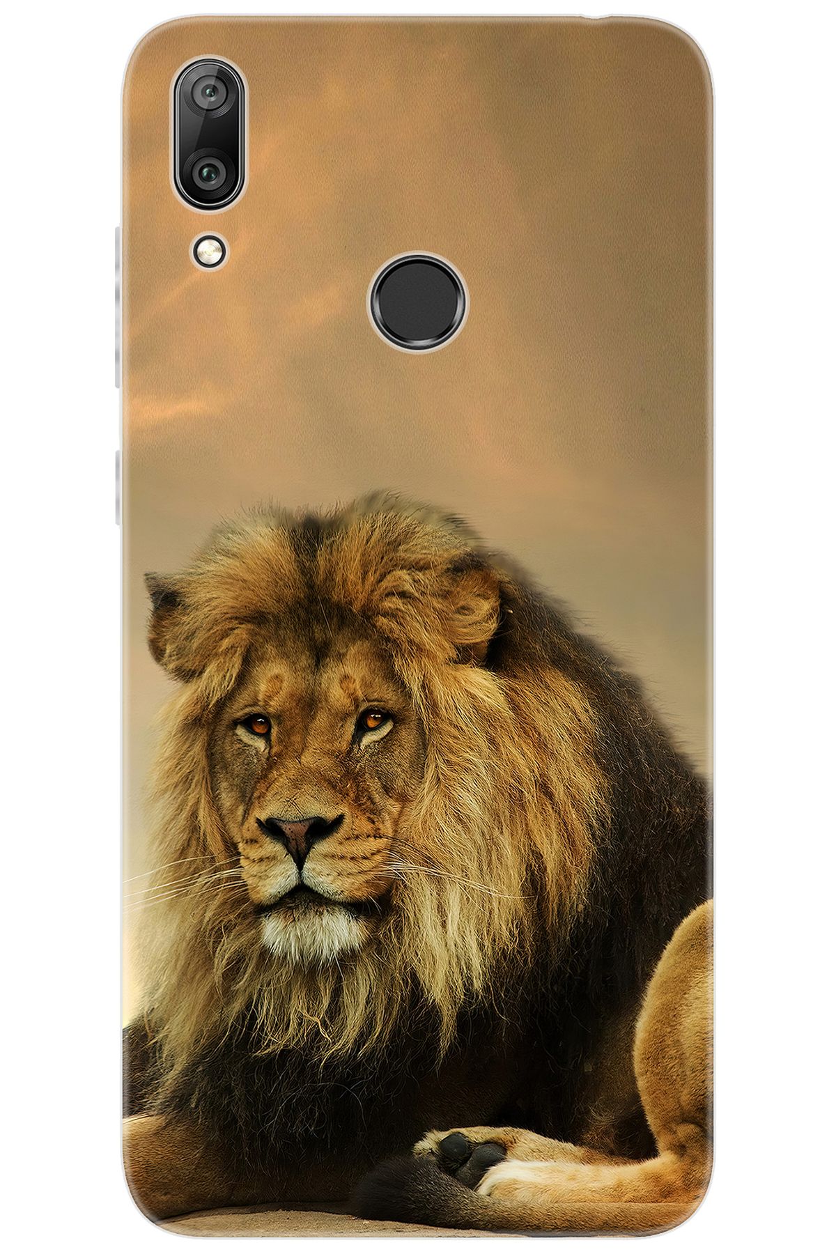 Ceppare Huawei Y7 Prime 2019 (DUB-LX3) Uyumlu Kılıf Desen Baskı Silikon Kral Aslan STK:207 CP-356Qb80