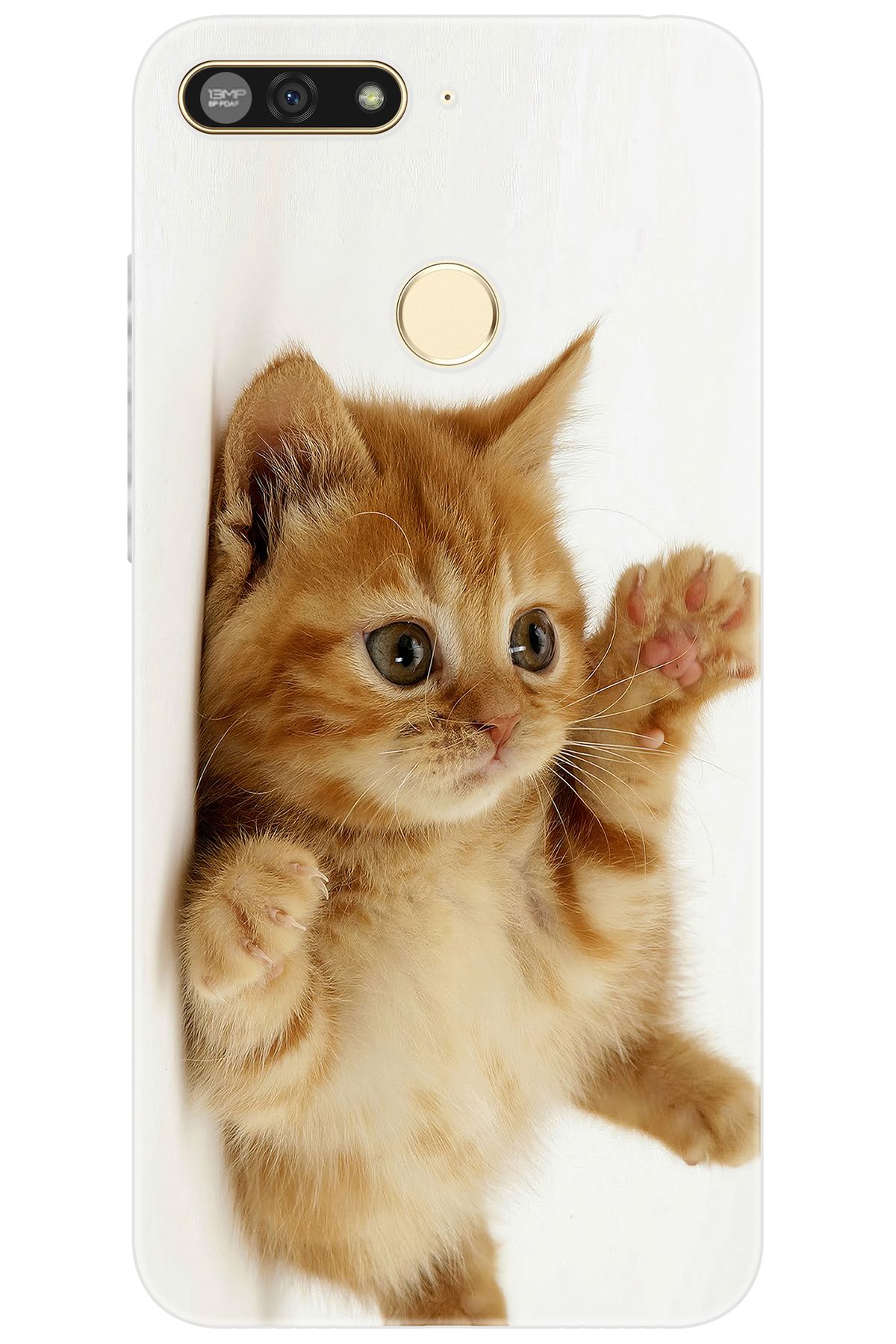 Ceppare Huawei Y6 Prime 2018 (ATU-L31/L42) Uyumlu Kılıf Desen Baskı Silikon Sevimli Kedi STK:205 CP-UGfrEaS