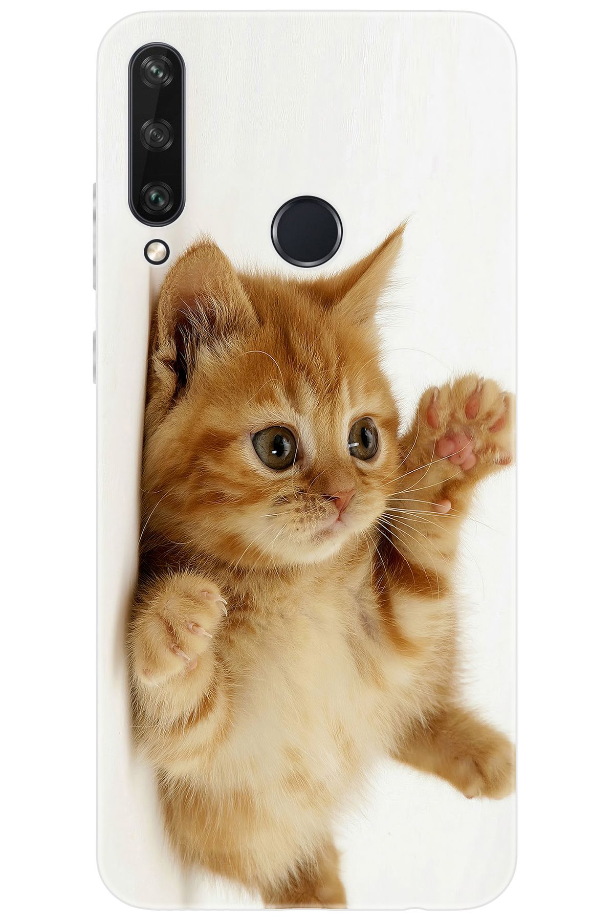 Ceppare Huawei Y6P (MED-LX9N) Uyumlu Kılıf Desen Baskılı Silikon Sevimli Kedi STK:205 CP-XbZ8Ydm