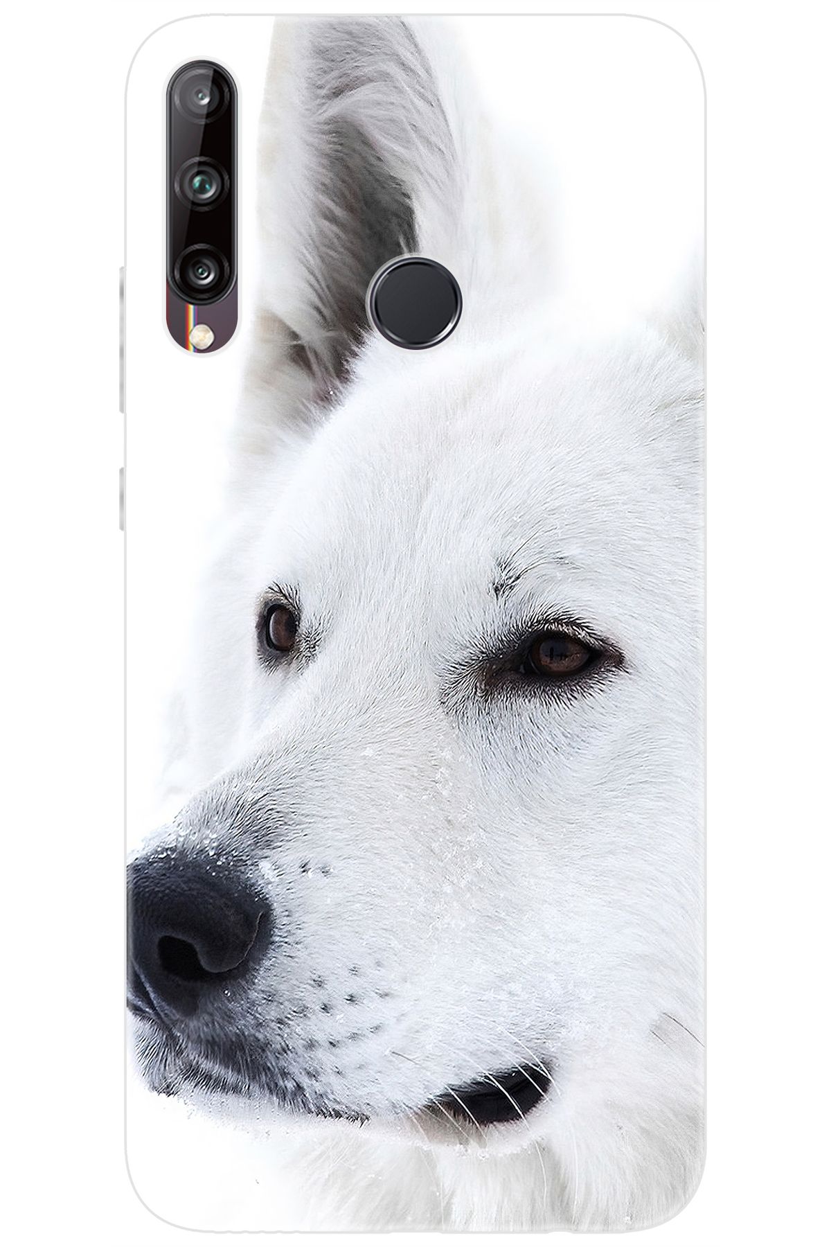 Ceppare Huawei Y7P (ART-L29) Uyumlu Kılıf Desen Baskılı Silikon Beyaz Kurt STK:169 CP-54S3lEq