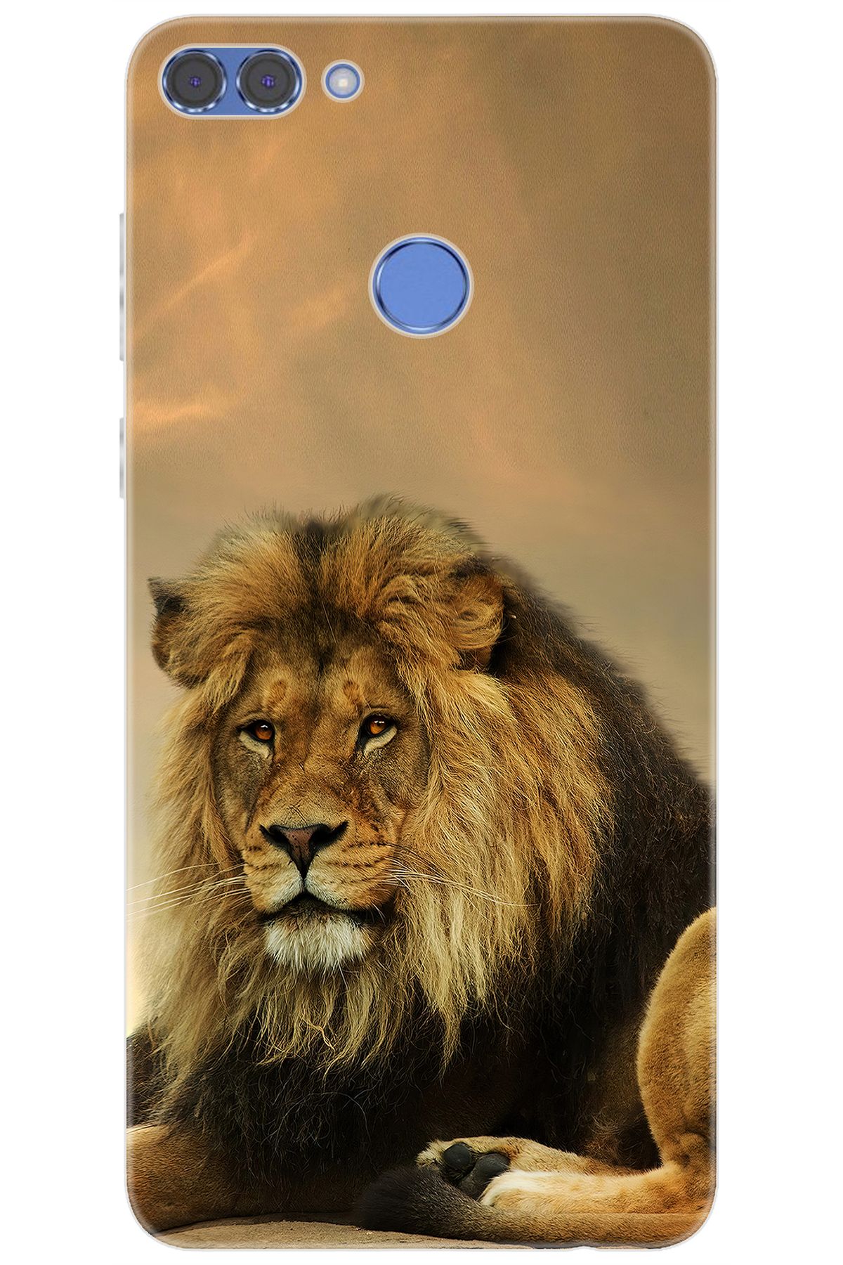 Ceppare Huawei Y9 2018 (FLA-LX1/LX2) Uyumlu Kılıf Desen Baskılı Silikon Kral Aslan STK:207 CP-OFEzYuW