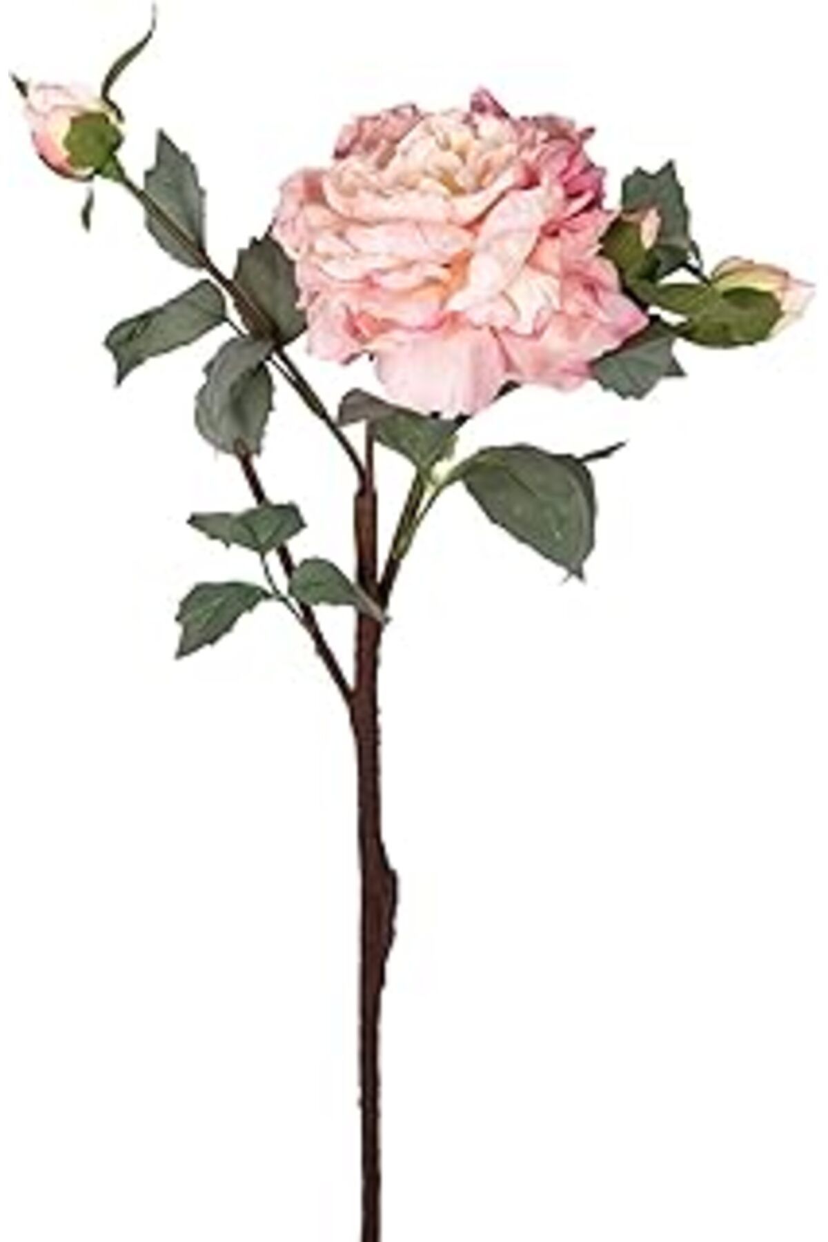 Mu Art Ahşap Herdekora Yapay Gül Kurumuş Efektli Pembe 60 Cm.