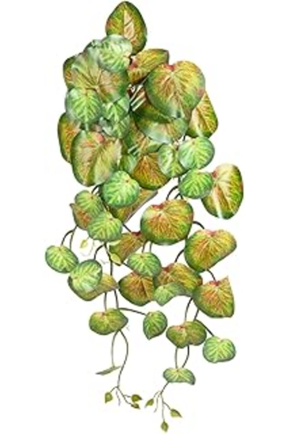 Mu Art Ahşap Herdekora Yapay Salon Sarmaşığı 70 Cm.