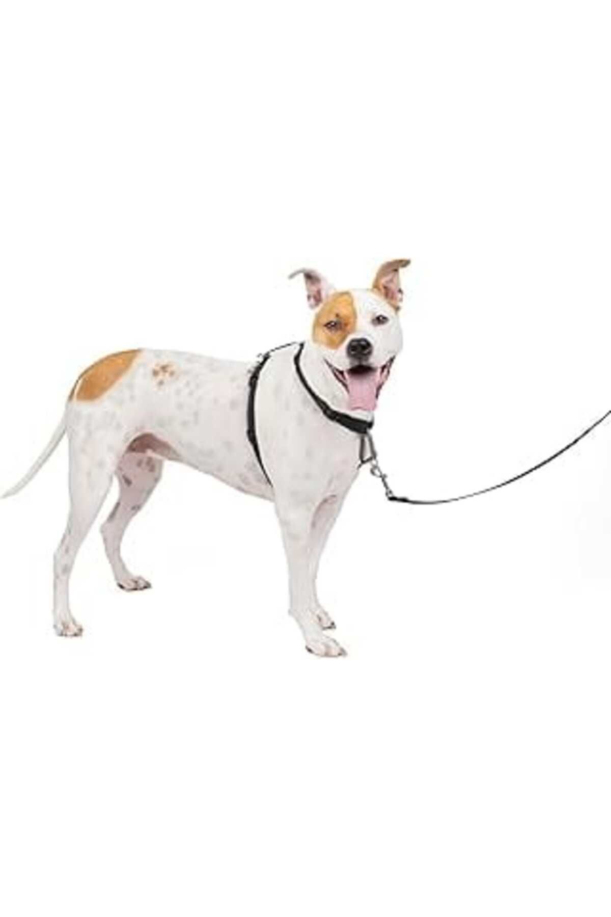 NZM TİCARET Petsafe The Makers Of The Easy Walk Harness, 3'Ü 1 Arada Koşum Kayışı, Tamamen Ayarlanabilir, Çekme