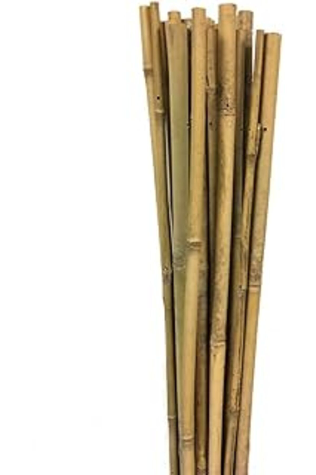 Mu Art Ahşap Gardener 63713 Bambu Destek Çubuğu 10'Lu - 10-12 Mm X 120 Cm