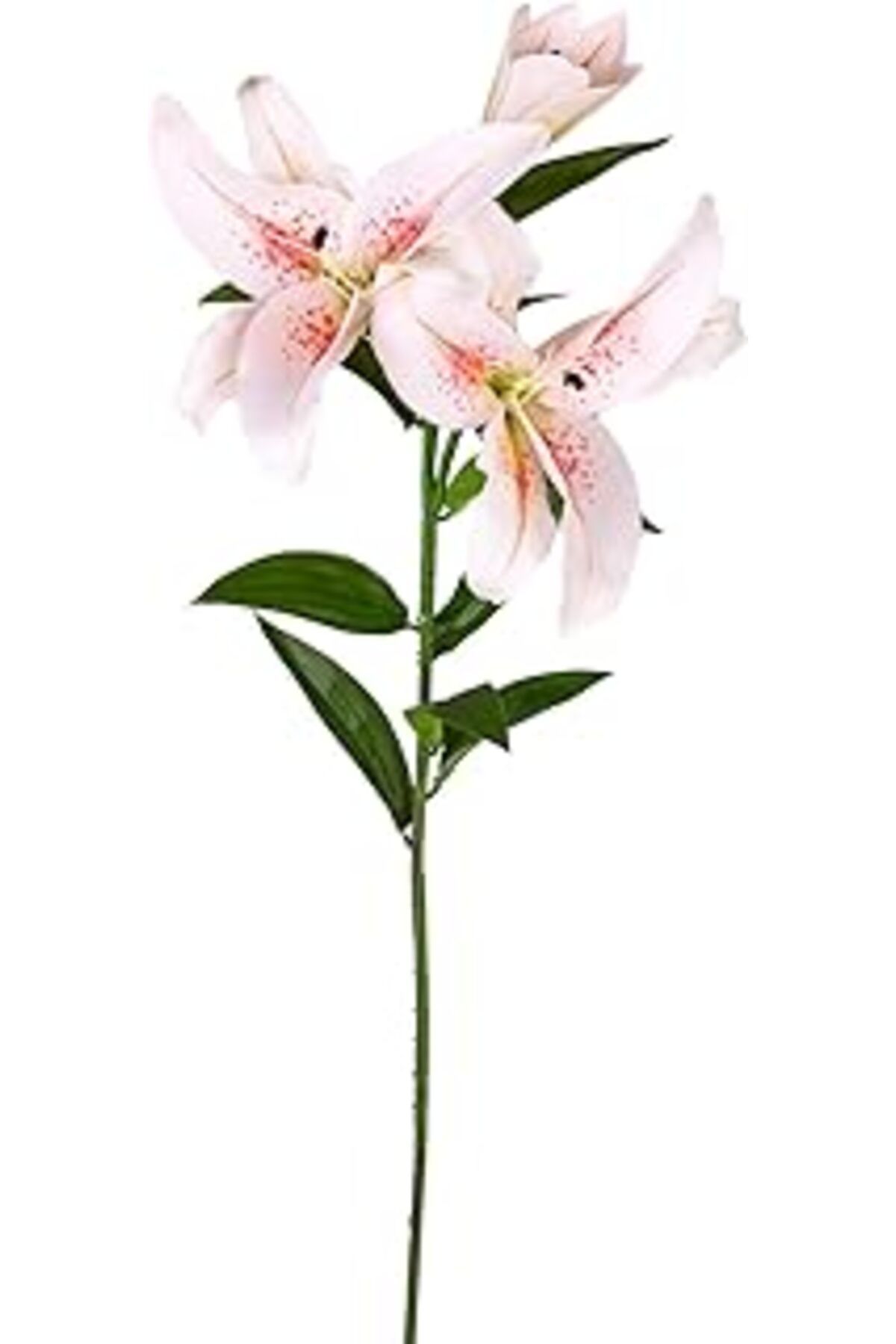 Pazarcan Herdekora Yapay Çiçek Zambak Fuşya-Beyaz 85 Cm.