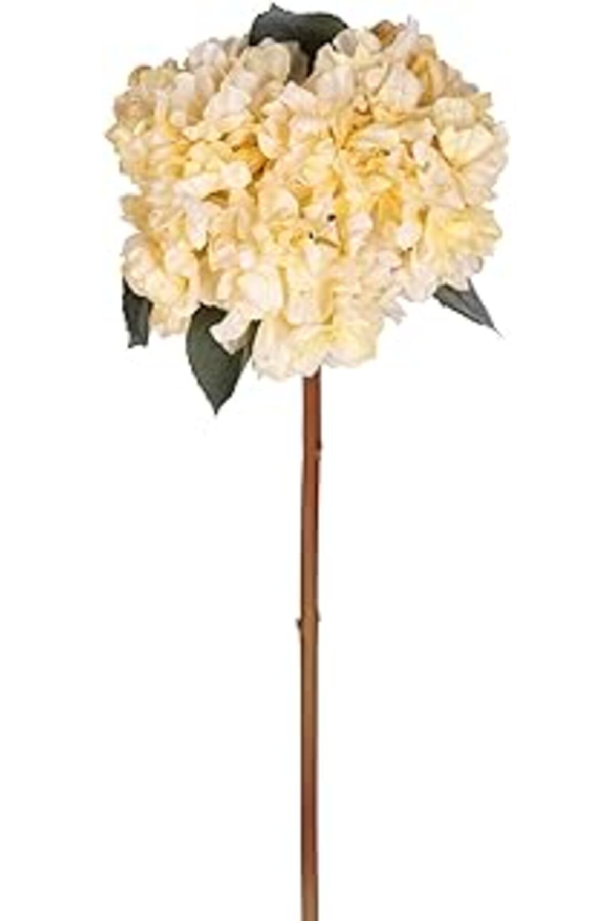DENİZBİLİŞİM Yapay Ortanca Kurumuş Efektli Sarı 65 Cm.