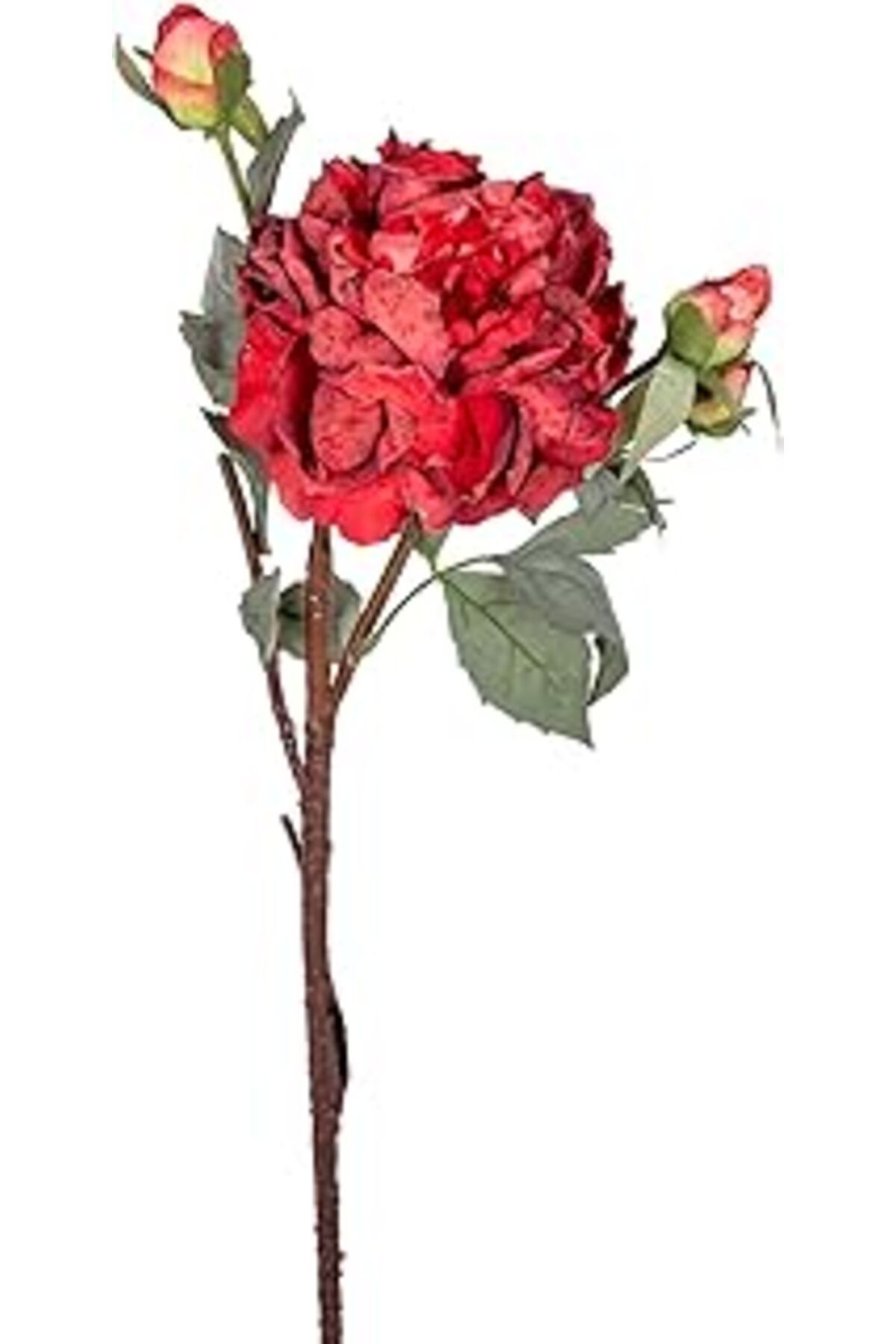 Mu Art Ahşap Herdekora Yapay Gül Kurumuş Efektli Kırmızı 60 Cm.