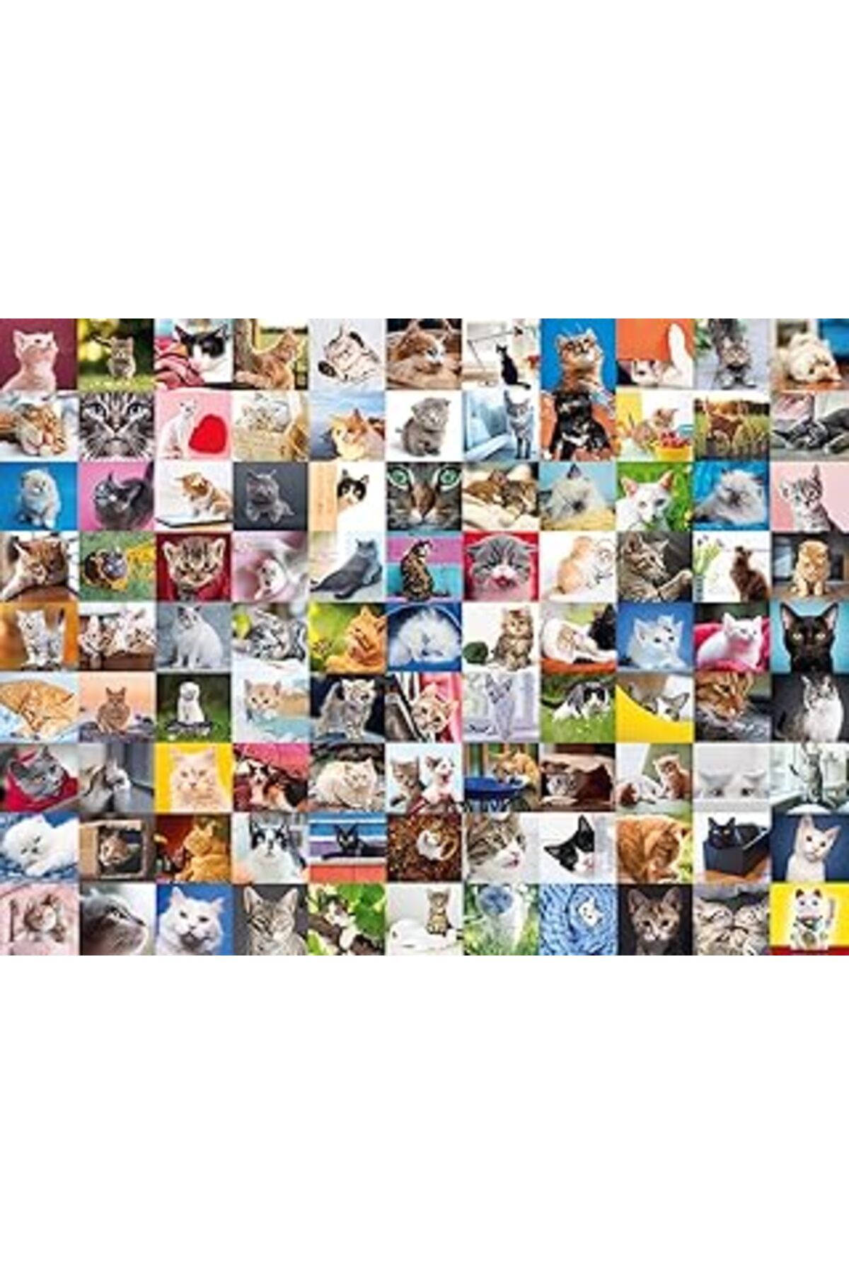 karadağsb Ravensburger 1500P Puz 99 Kedi, Çok Renkli
