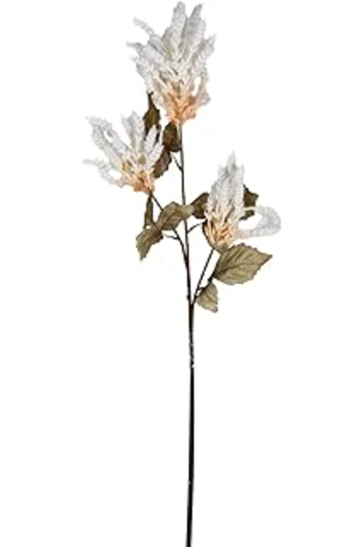 Mu Art Ahşap Yapay Çiçekli Bitki Pampas Krem 90 Cm.
