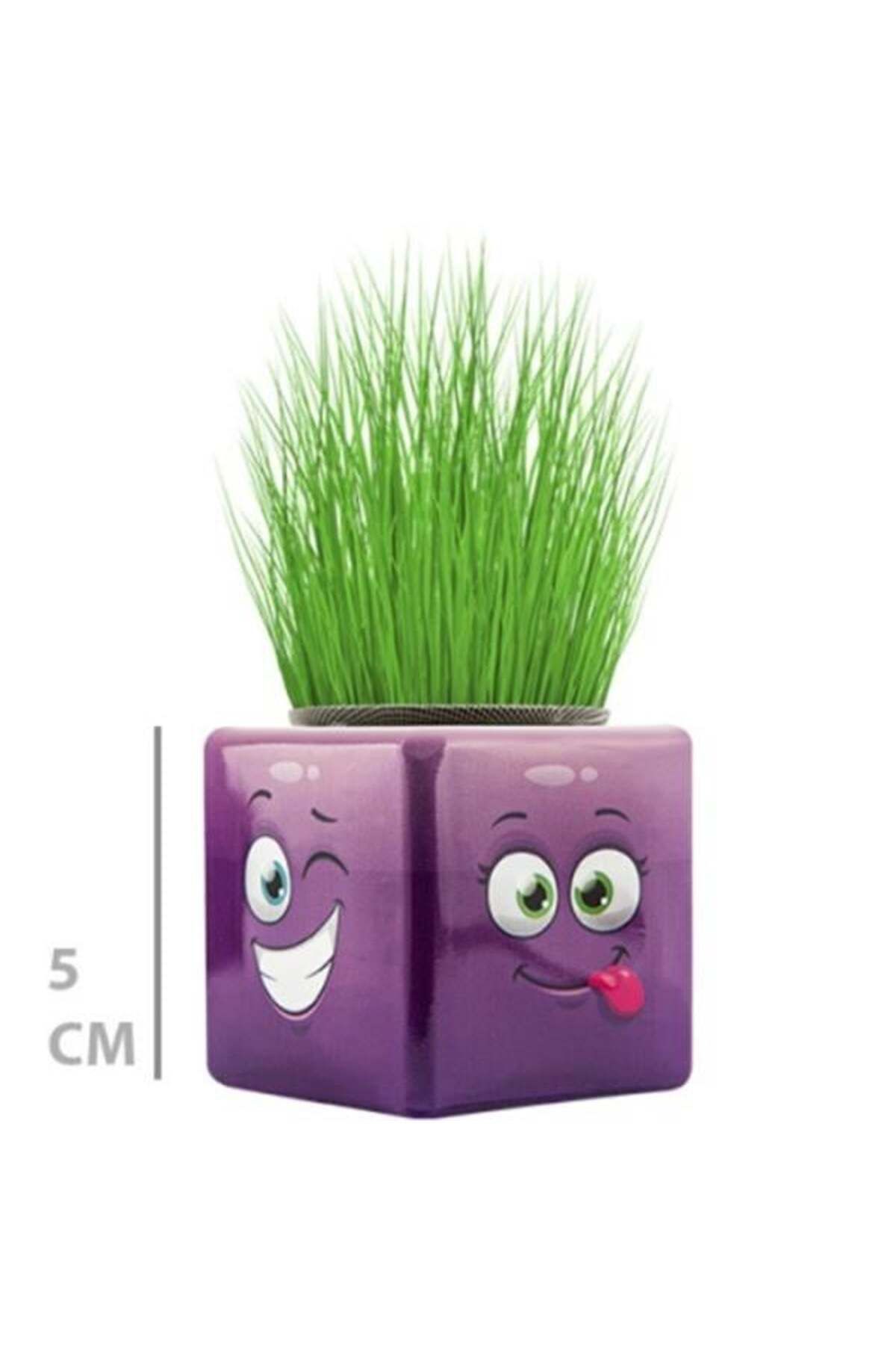 Mu Art Ahşap Çim Adam Mini Küp Emoji Figürlü 1 Adet