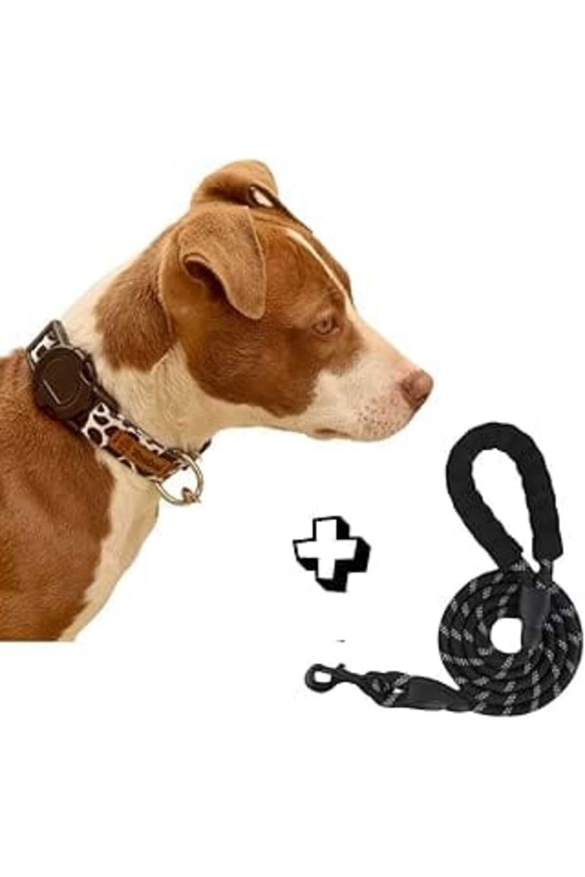 NZM TİCARET Tosbai Köpek Boyun Tasmasi 45-65 Cm Xl Beden, Recycled Baskili Kopmaz Tasma & Tosbai Kopek Gezdirm