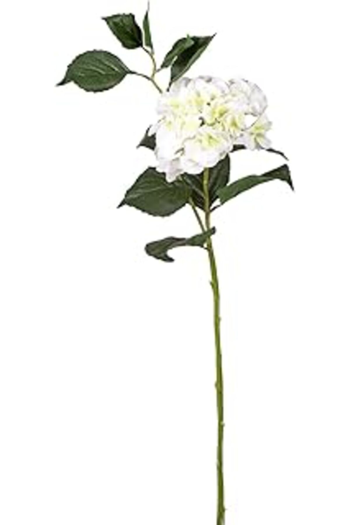 Roses Store Herdekora Yapay Çiçek Islak Dokulu Ortanca Beyaz Tek Dal 110 Cm.