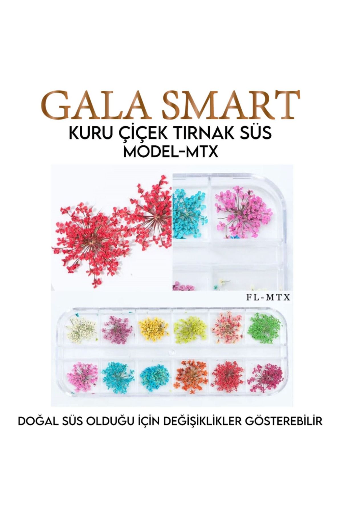 gala smart Kuru Çiçek Tırnak Süsleme