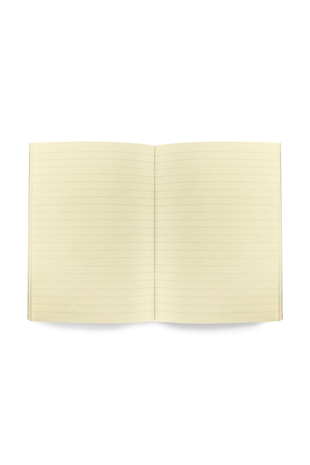 SEEN-Set of two notebooks with lines, growth 4