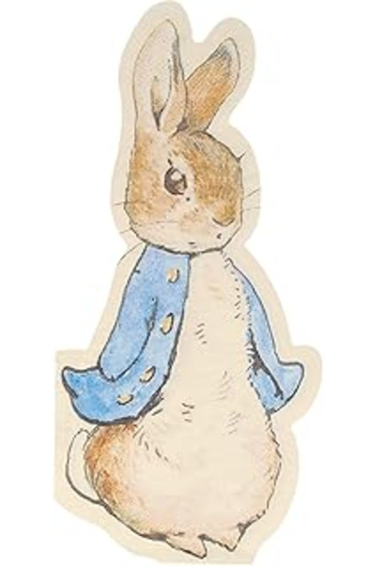 karadağsb Meri Meri Peter Rabbit Peçete (20'Li)