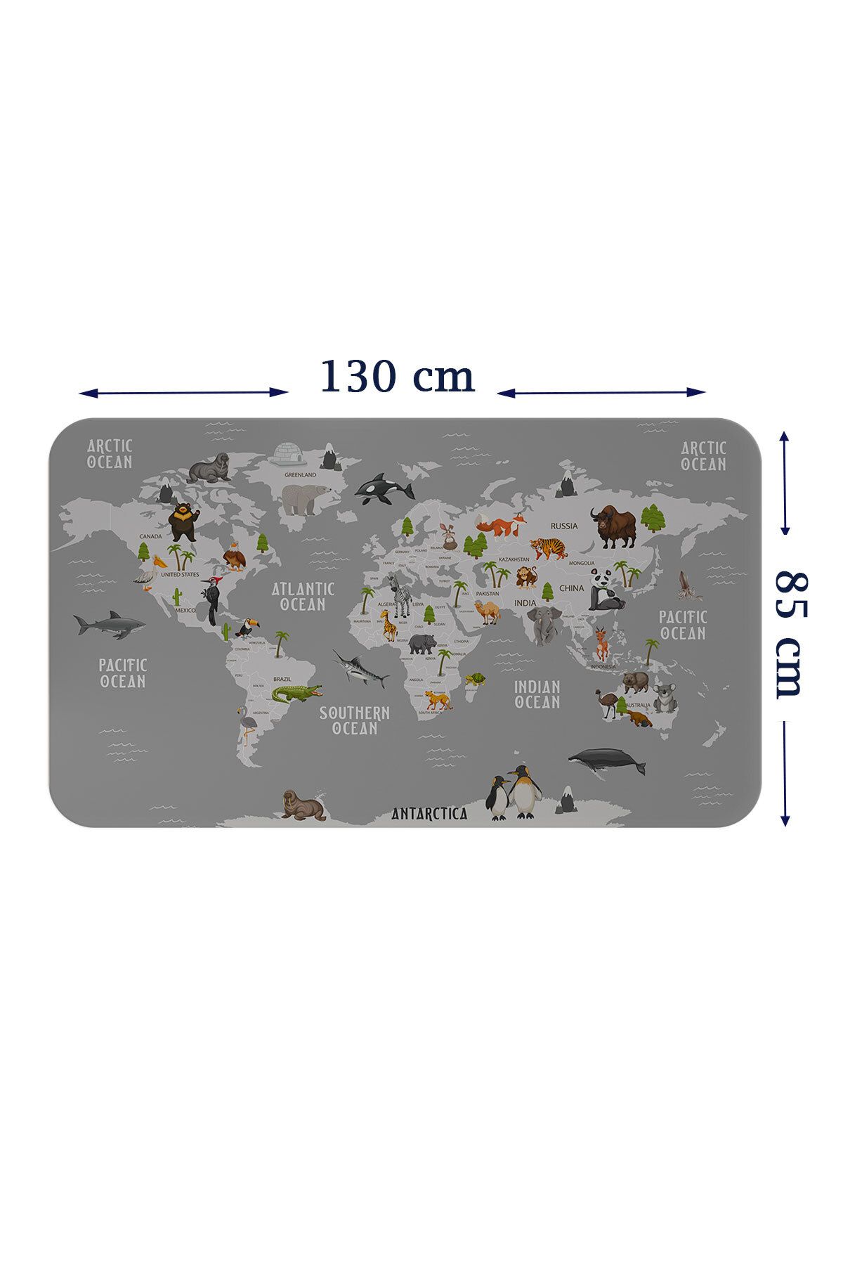 Haye Collection Eğitici Dünya Haritası Dünya Atlası Çocuk ve Bebek Odası Duvar Sticker-85x130-3794
