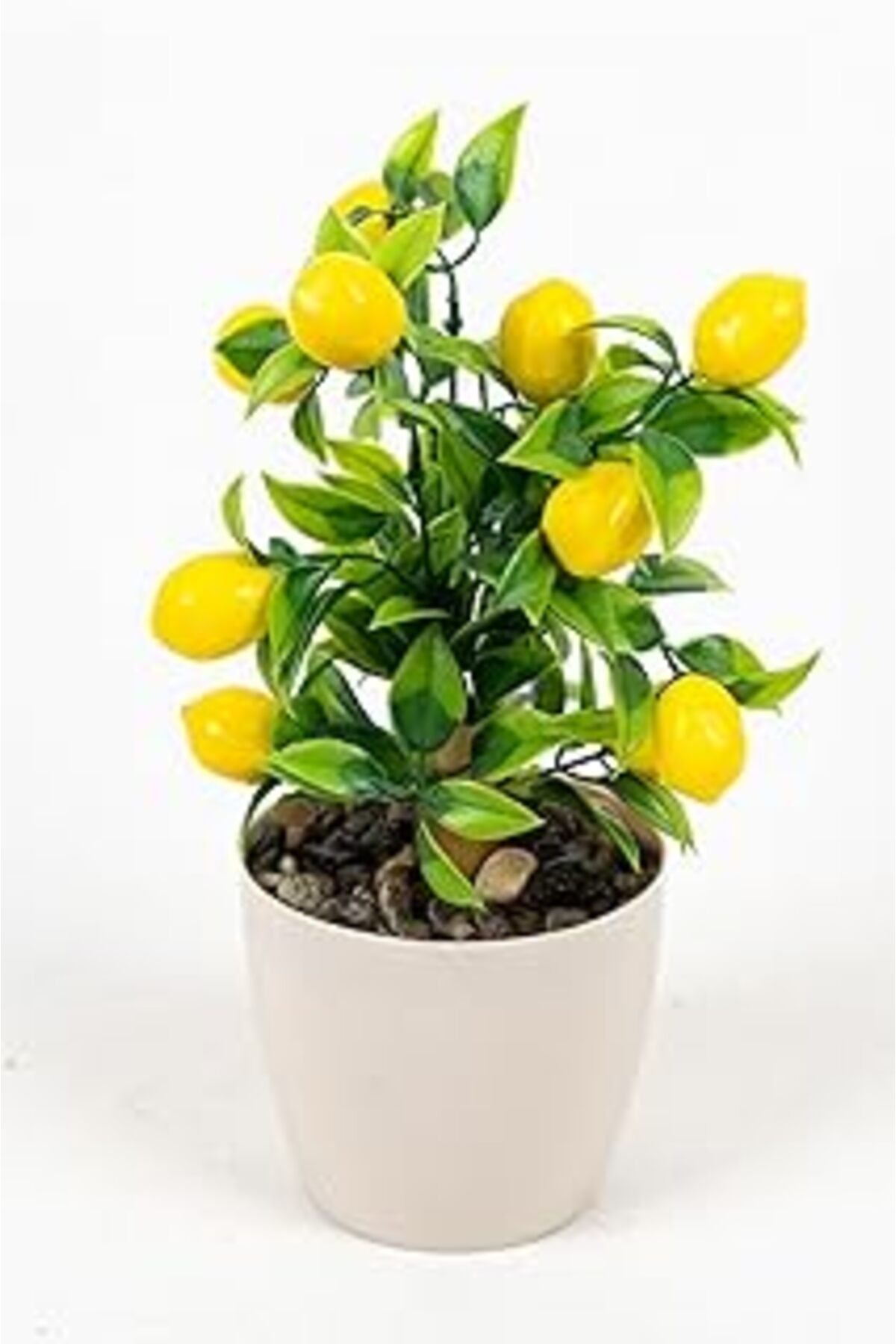 Mu Art Ahşap Yapay Çiçekçiniz Beyaz Plastik Saksıda Bambu Gövdeli Limon Ağacı 25 Cm