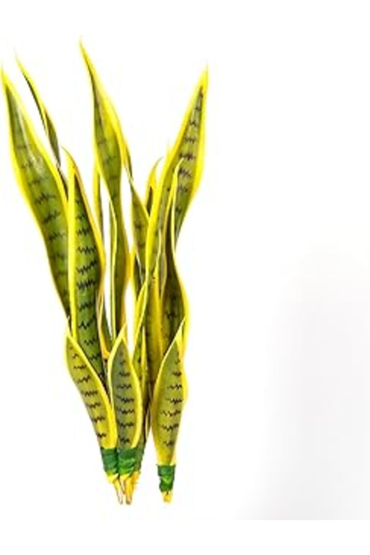 NETWORK ART Herdekora Yapay Bitki Paşa Kılıcı Gerçek Dokulu 15 Yaprak Sarı-Yeşil 53 Cm.