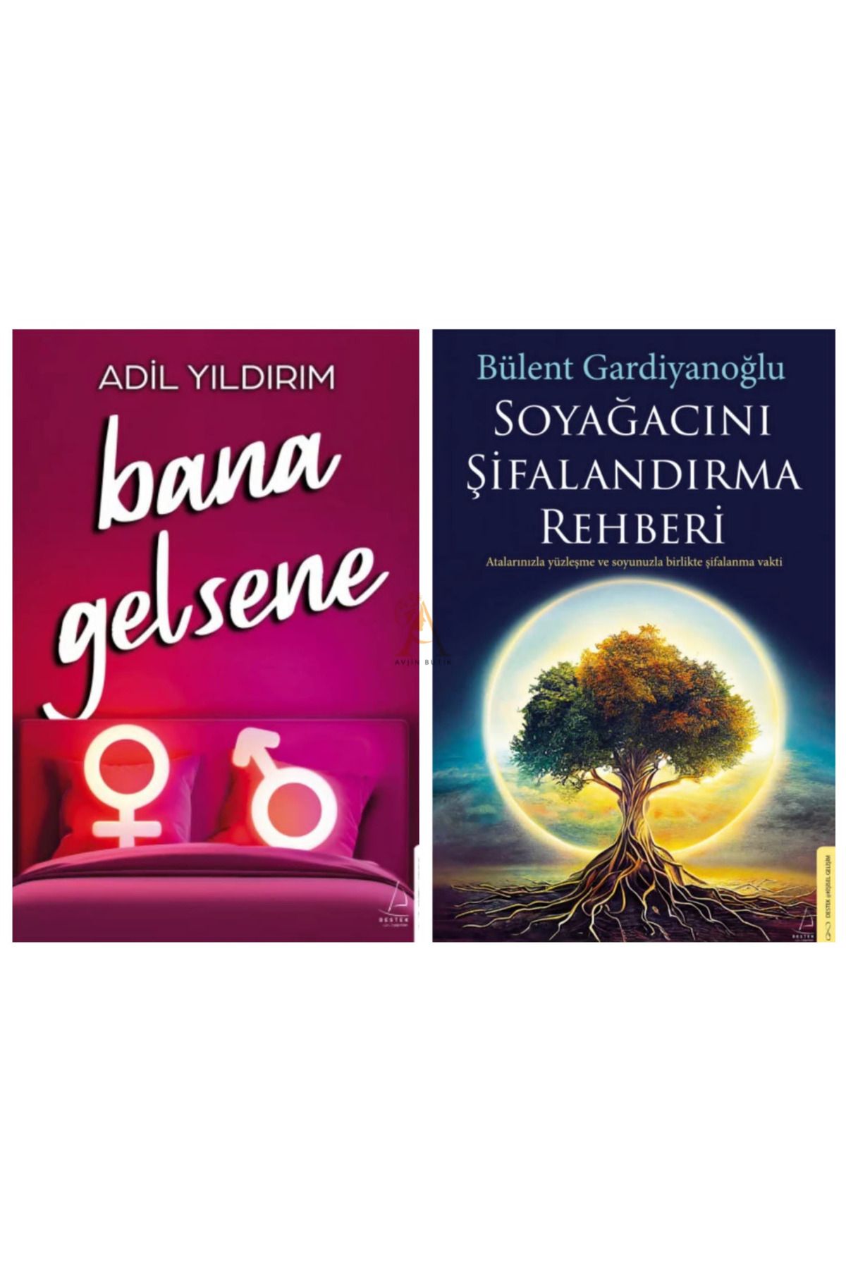 Destek Yayınları Bana Gelsene/Soyağacını Şifalandırma Rehberi/2 Kitap Set
