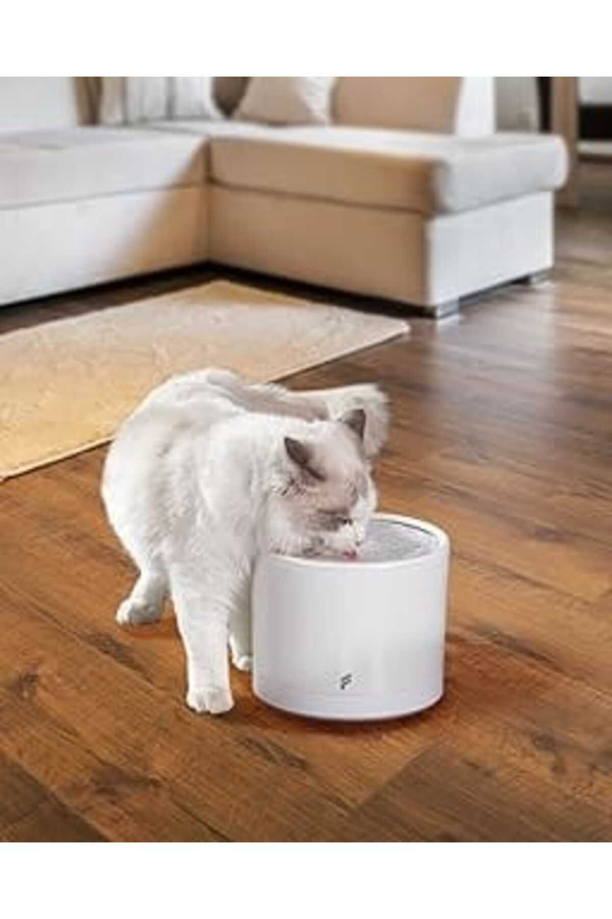 karadağsb Fonri Kedi Köpek Akıllı Otomatik Su Kabı, 2 Litre, Evcil Hayvan Su Pınarı, Uzaktan, Sesli Kontrol