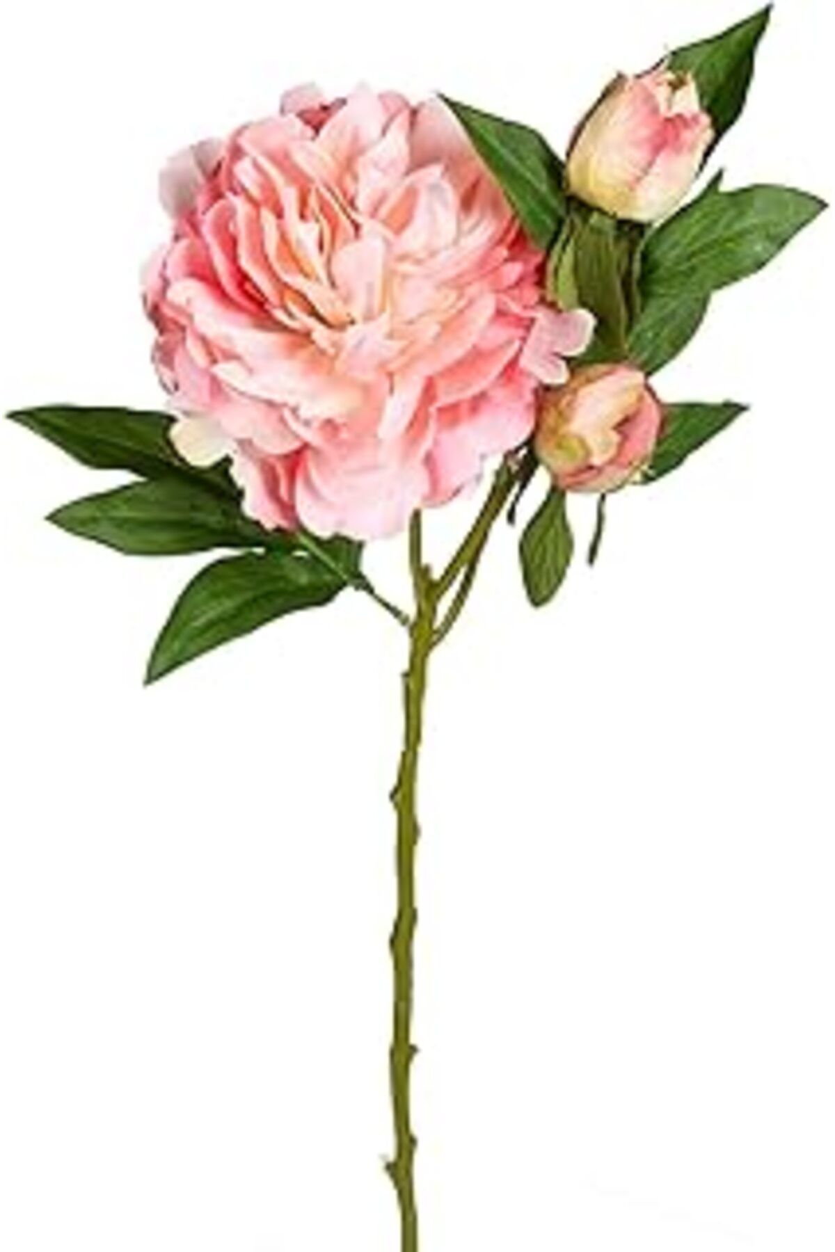 DENİZBİLİŞİM Herdekora Yapay Şakayık Pembe 65 Cm.