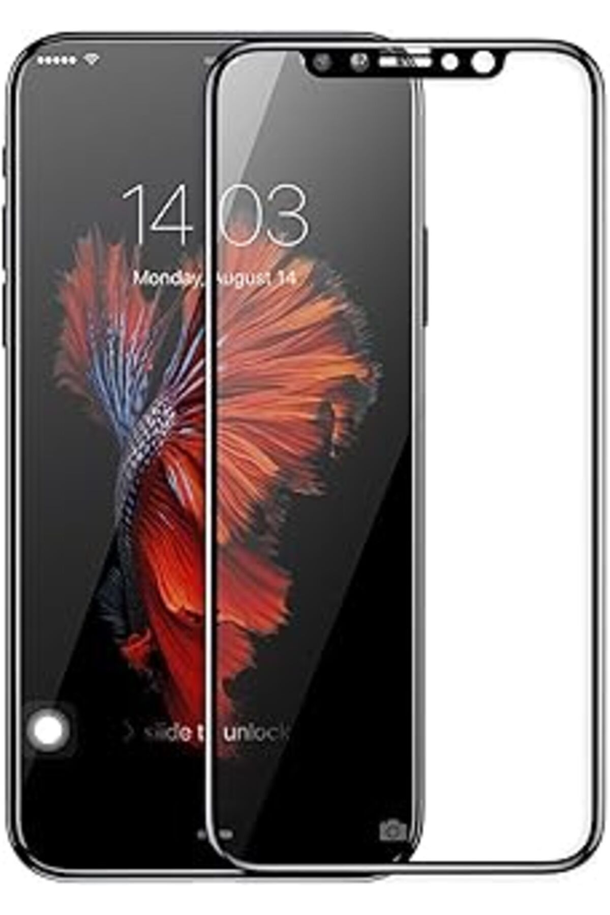 Pazarcan Microsonic Apple Iphone Xr (6.1'') Tam Kaplayan Temperli Cam Ekran Koruyucu Siyah