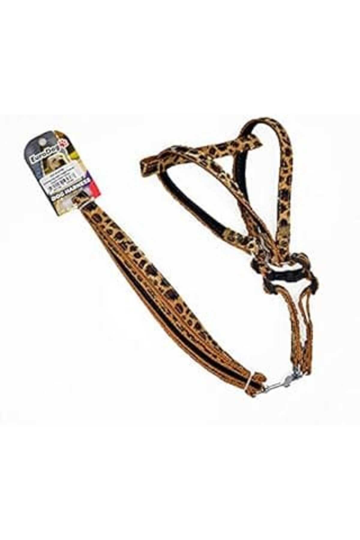 NZM TİCARET Eurodog Köp.Uztm+Göğüs Tasması Leopar 15Mm 120Cm
