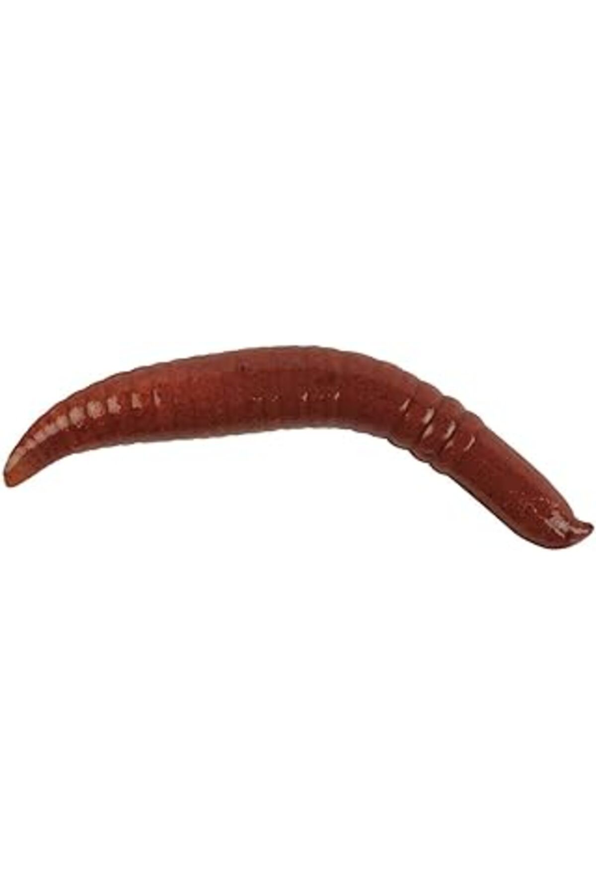 nazeninstoğu Berkley Gulp! Floating Pinched Crawler Fishing Soft Bait