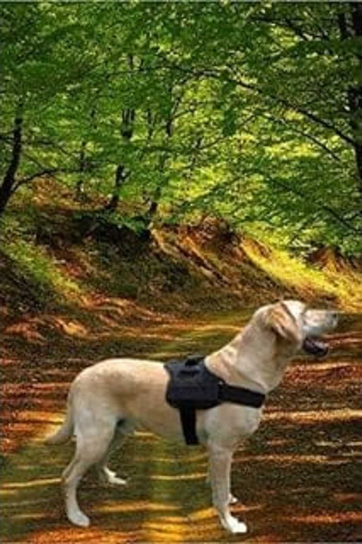 NZM TİCARET Bypet Köpek Göğüs Tasması Büyük Irk Köpek Tasması Dog Police K9 Tasma