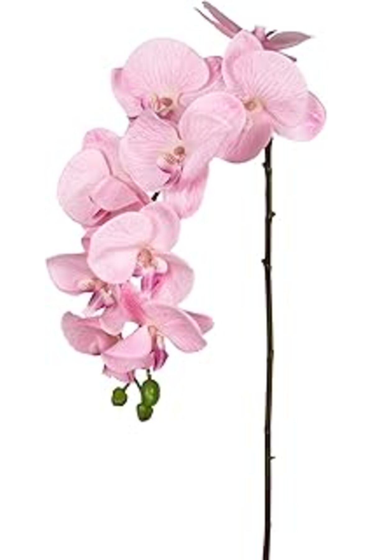 DENİZBİLİŞİM Herdekora Yapay Orkide Gerçek Dokulu Pembe 95 Cm.