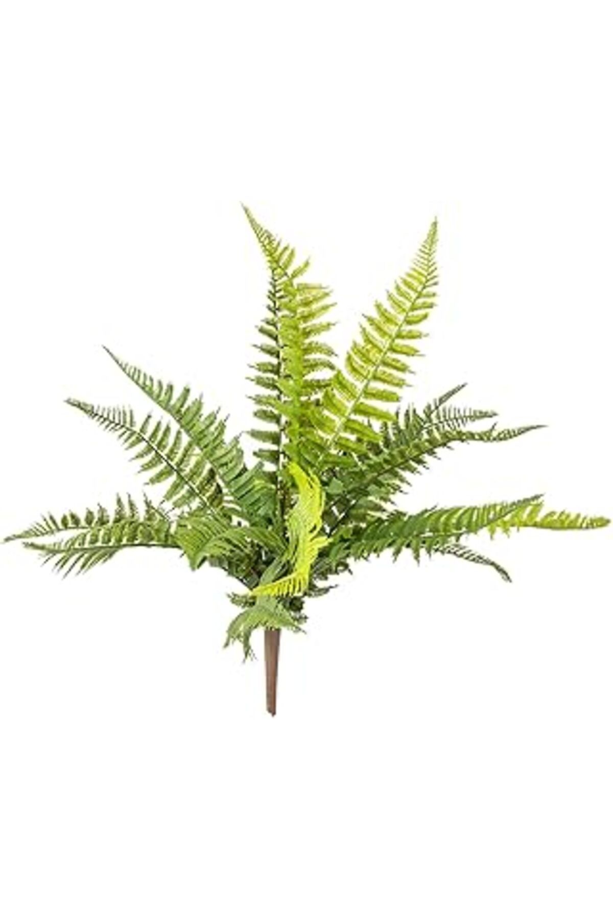Pazarcan Herdekora Yapay Bitki Aşk Merdiveni (Fujer) Yeşil 50 Cm.