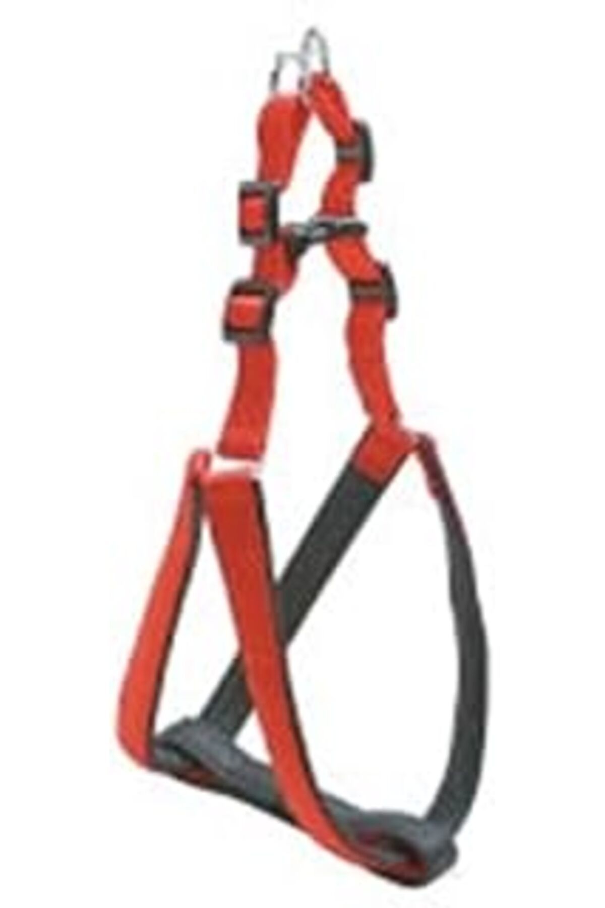 NZM TİCARET Eastland Soft Bel Tasma 2,5X77-98 Cm