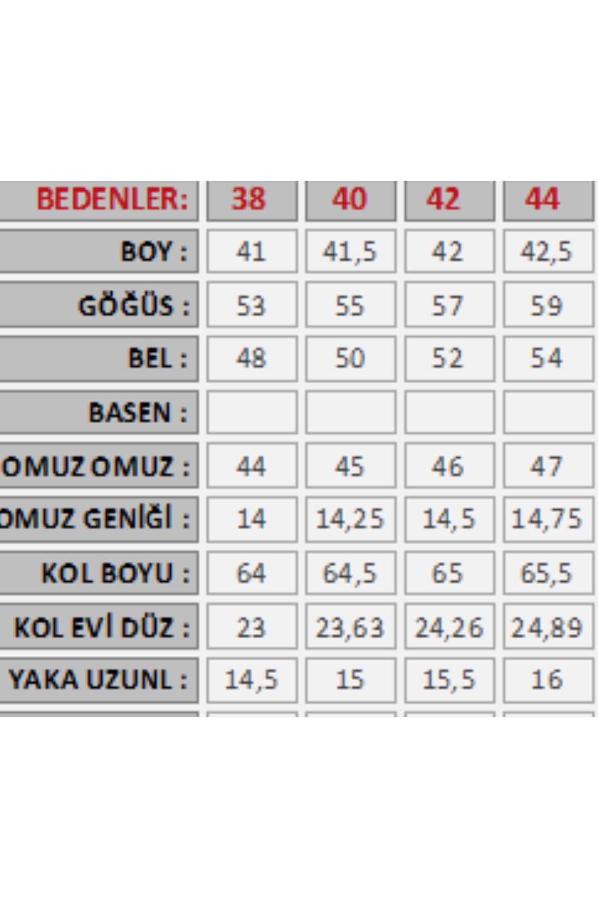Nesil Astarlı Crop Vatkalı Kadın Ceket