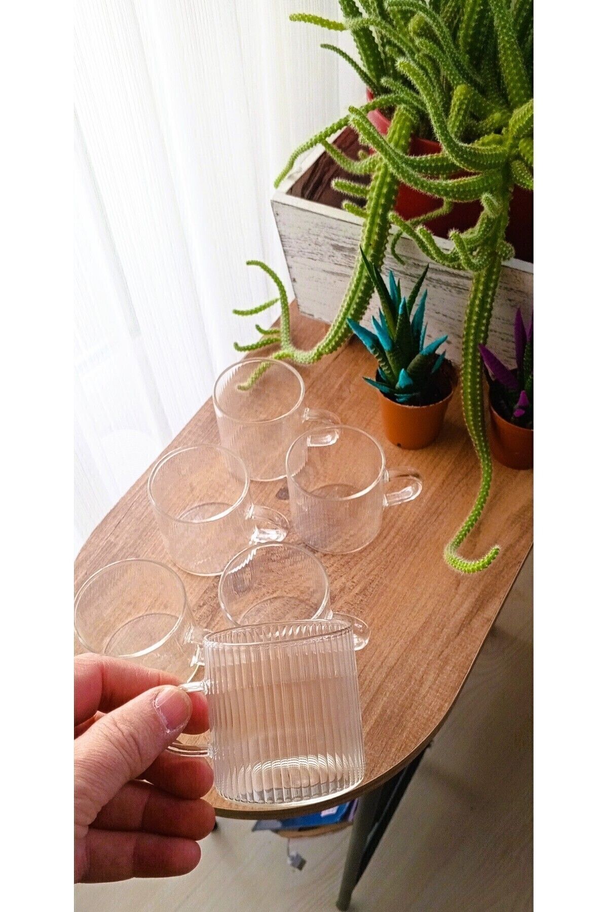 TARIK HOME-Set of 6 Borosilicate Glassware Cups with Handles 110 Ml. 5