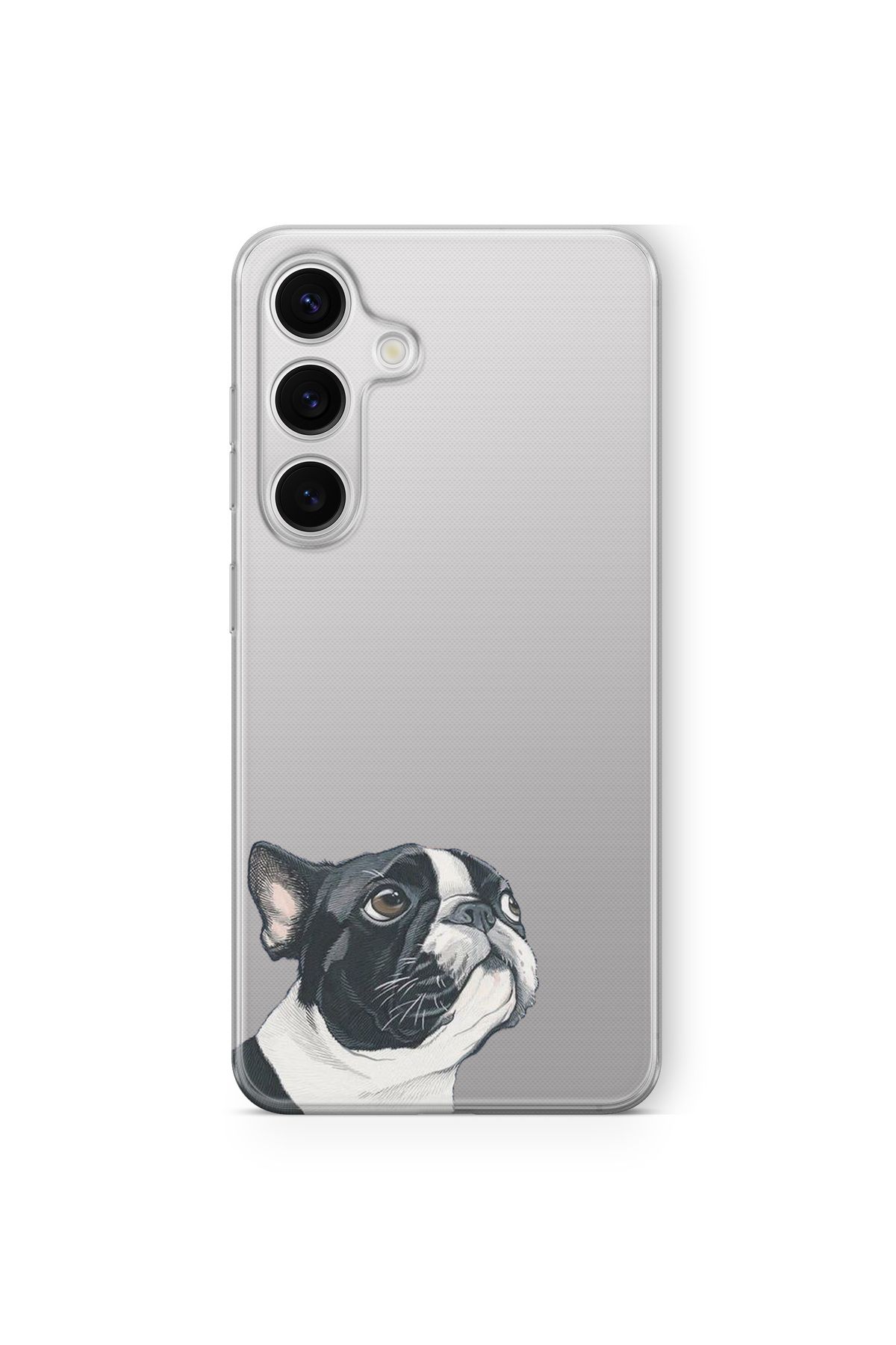 Space Star Samsung Galaxy A25 Uyumlu Bulldog Tasarım Baskılı Şeffaf Kılıf