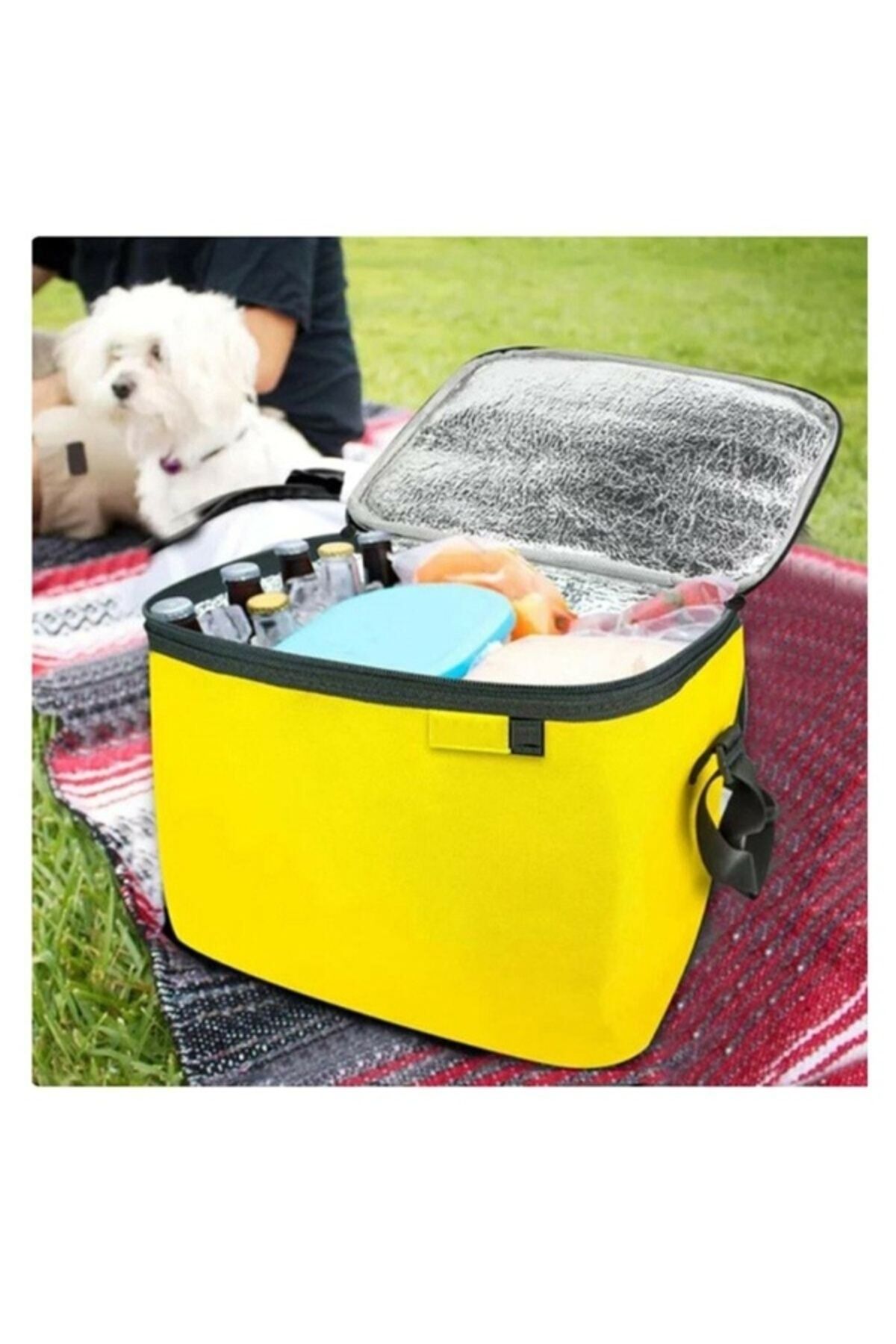noip Termos Çanta - Piknik Çantası Buz Aküsü Hediyeli 24LT (7474)