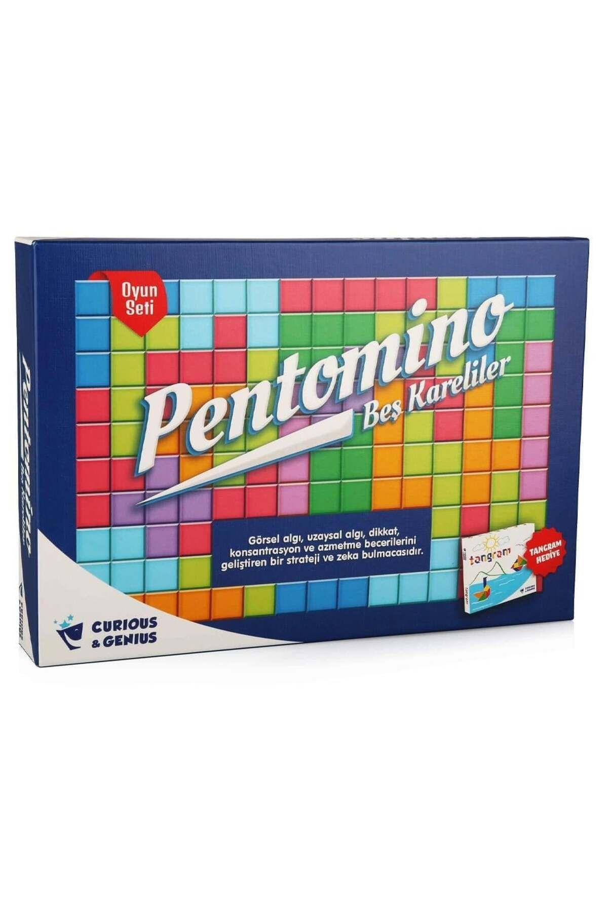 FELİTE Pentomino Seti Kutu Oyunu Strateji Oyunu