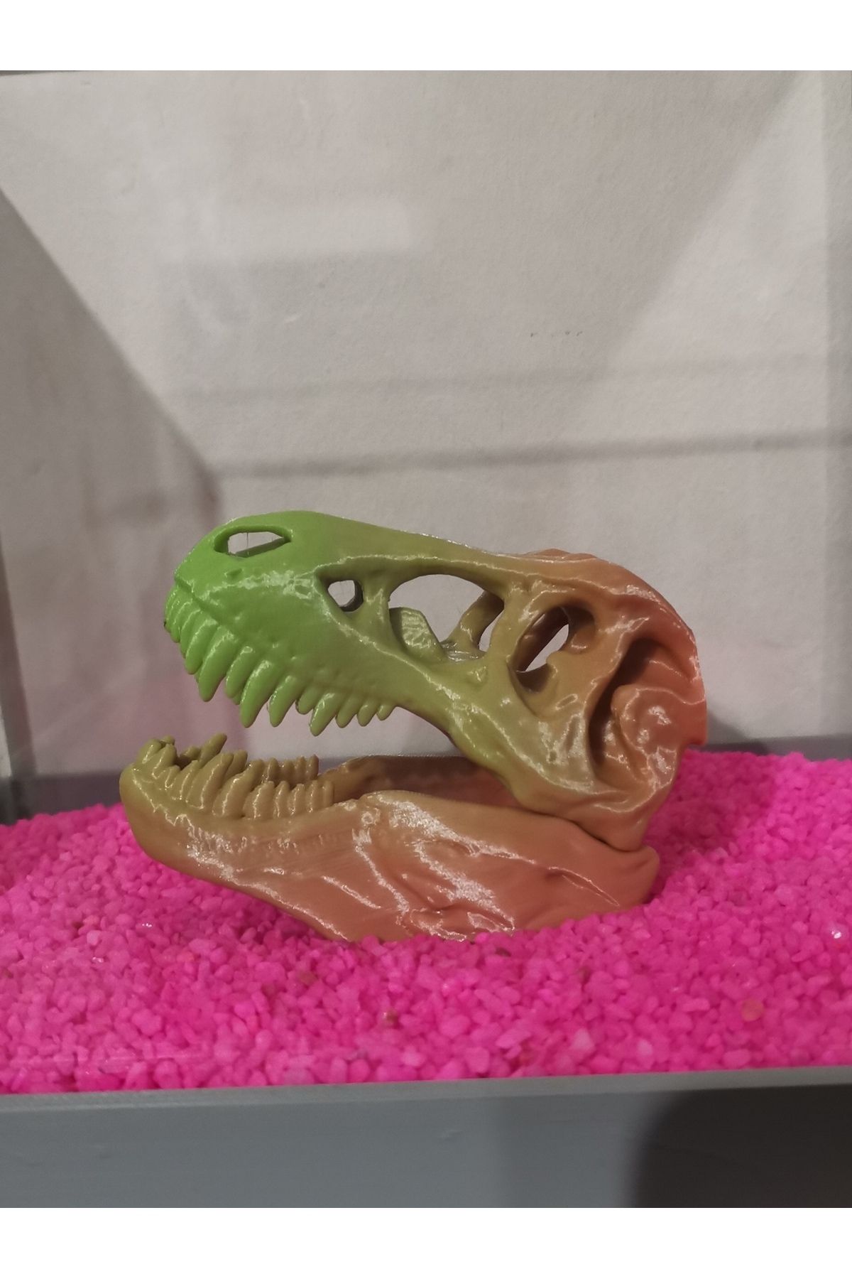 MDİZMİR Akvaryum Dekoru Dinozor Kafası ( Karışık Renkte ) Küçük Akvaryum ve Büyük Akvaryum Uygun