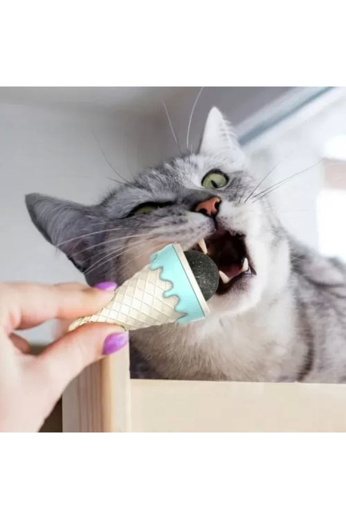 HayMed Dondurma Şeklinde Kedi Nanesi Kedi Otu