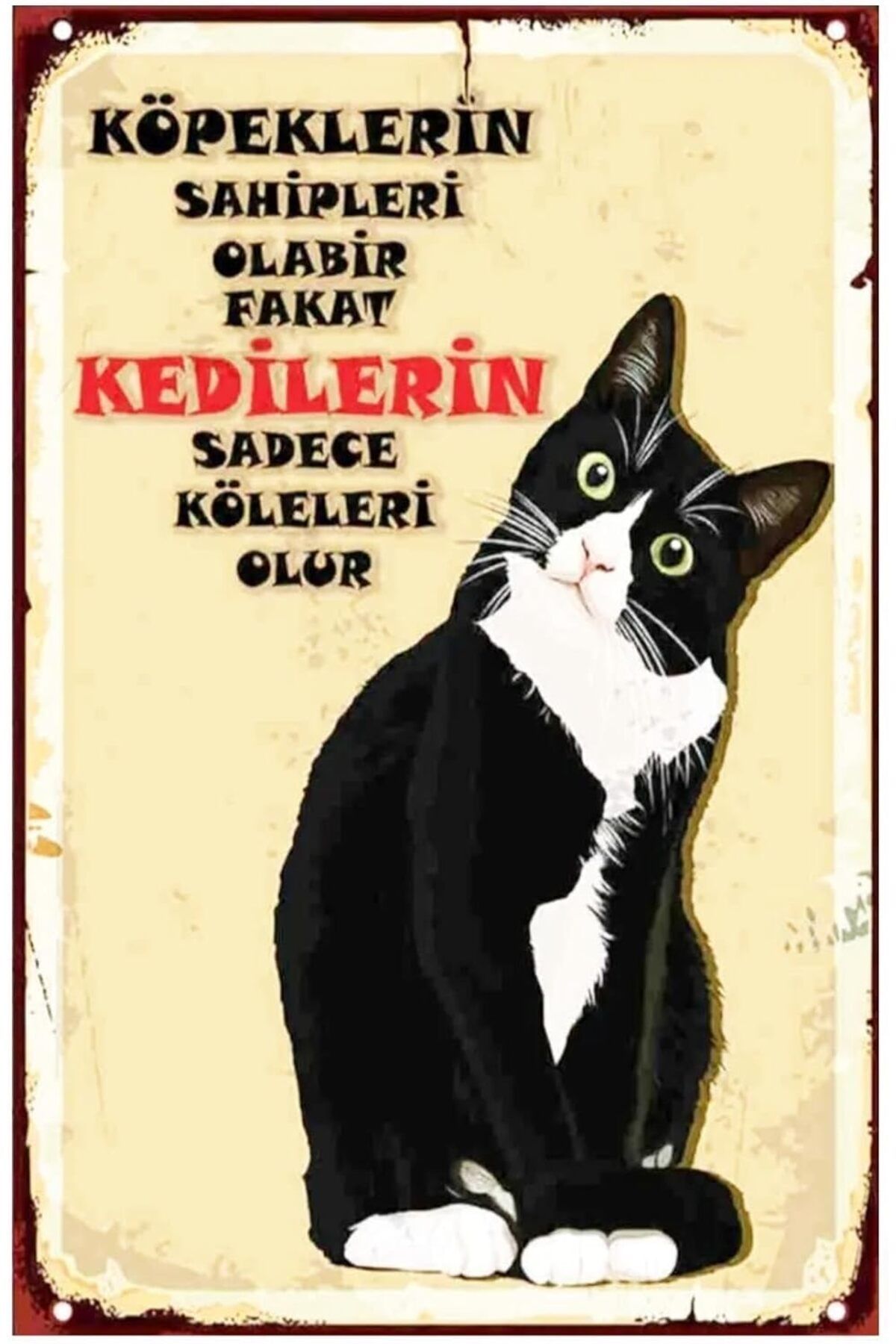 DERİK dsr Kuşe Kağıt Duvar Posteri Kedilerin Sadece Köleleri Olur Retro Vintage Drtr0033 hrn 1122015