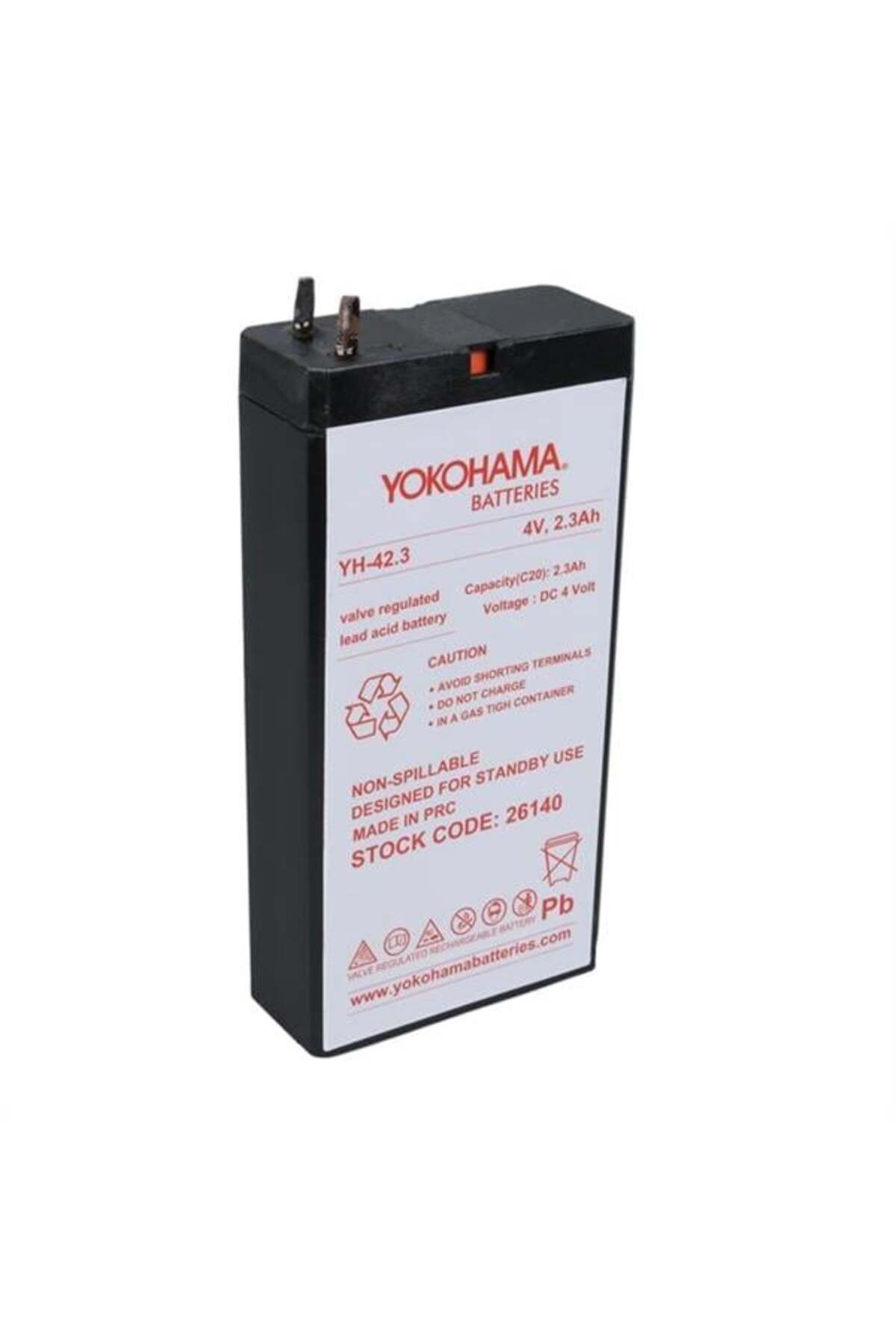 Roses Store Yokohama Yh-42.3 4 Volt - 2.3 Amper Akü (50X100X22 Mm)