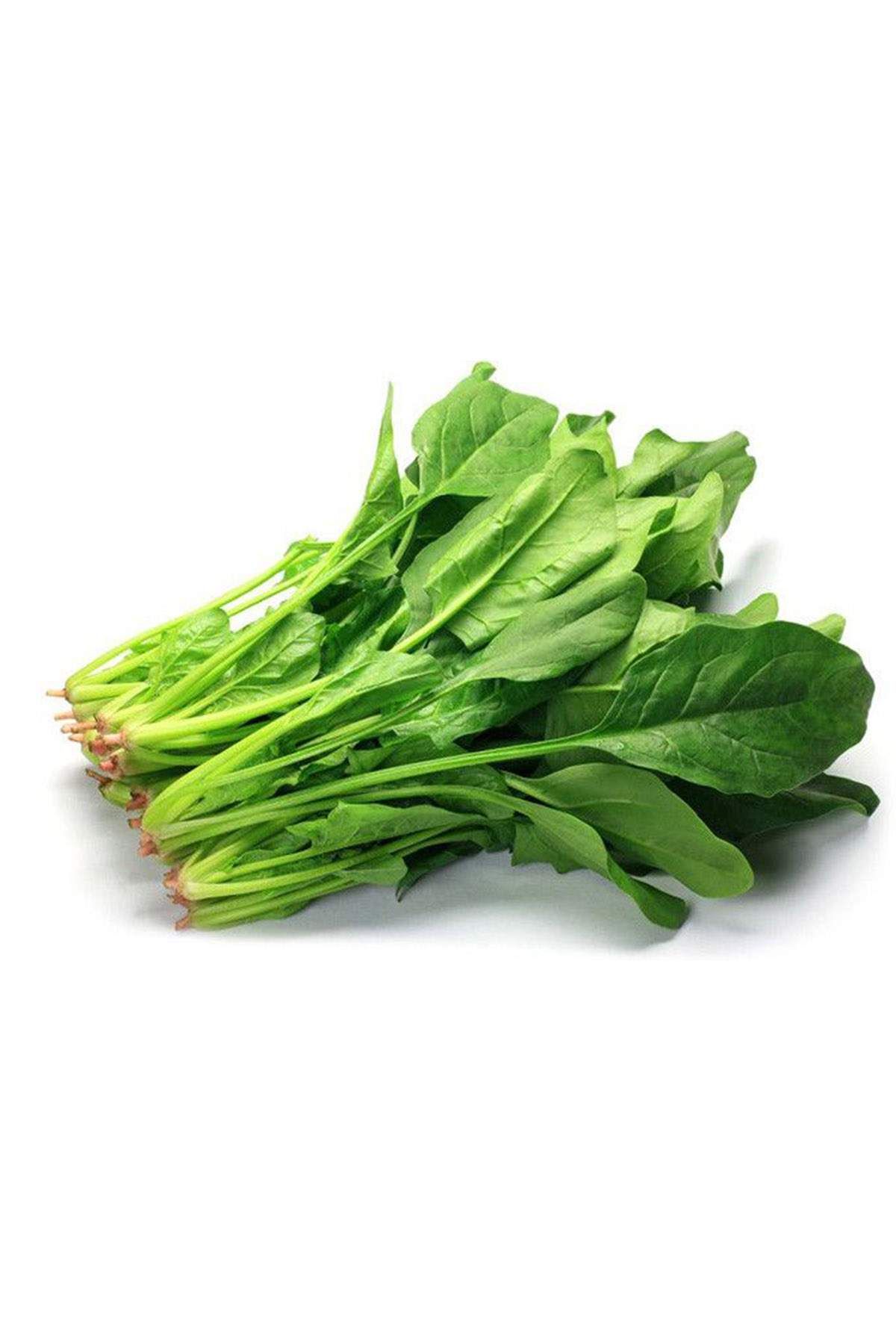 MBB ETİCARET Ispanak Tohumu 25 Gr