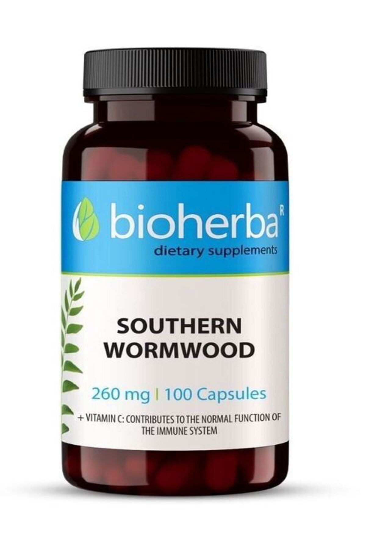 bioherba Southern Wormwood Artemisinin Anti Fungal Parasitic 260 mg 100 Caps