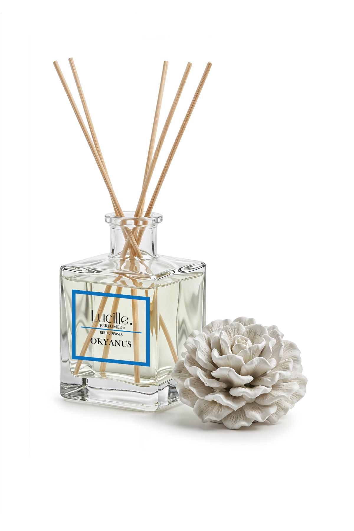 Lucille Esanslı Kalıcı Kokulu Okyanus Aromalı Bambu Çubuklu Oda Kokusu - 500 Ml Özel Kutusunda