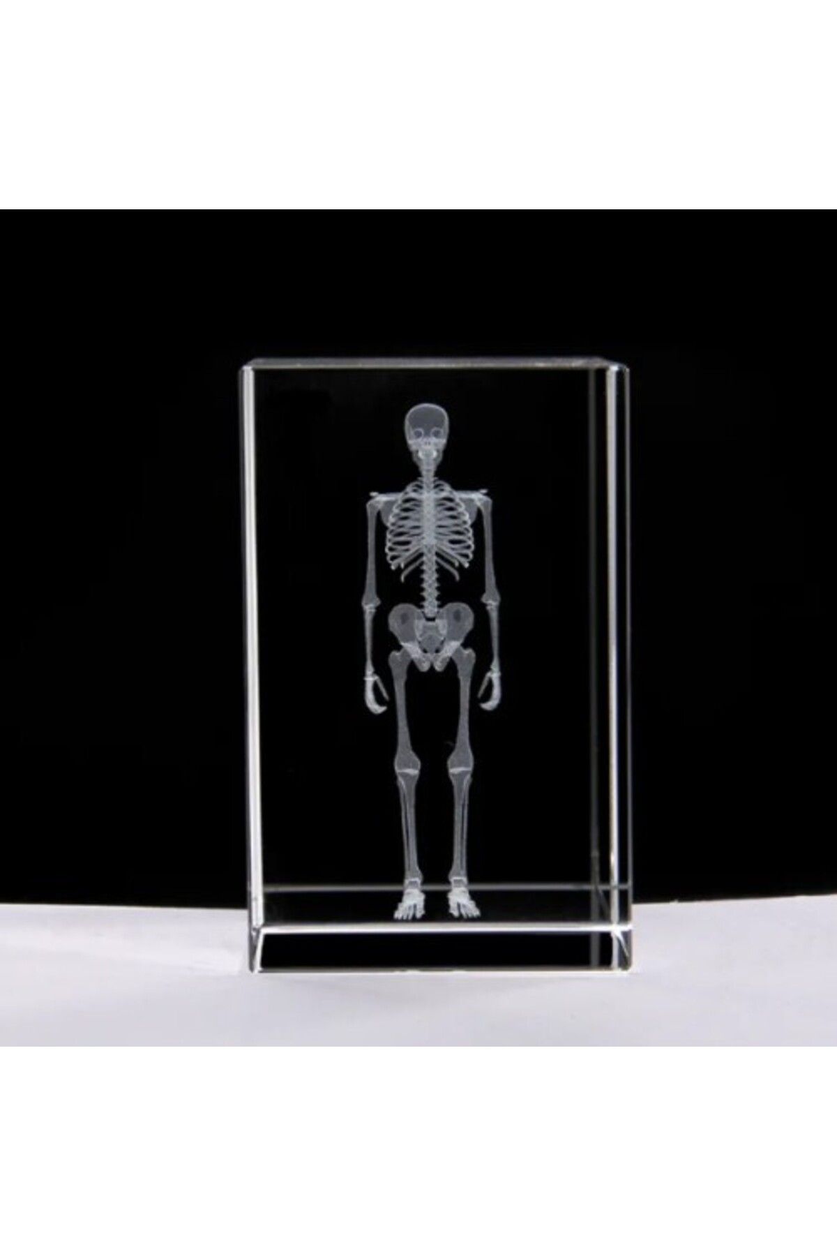 Otocub 3D Kristal İnsan İskeleti Modeli